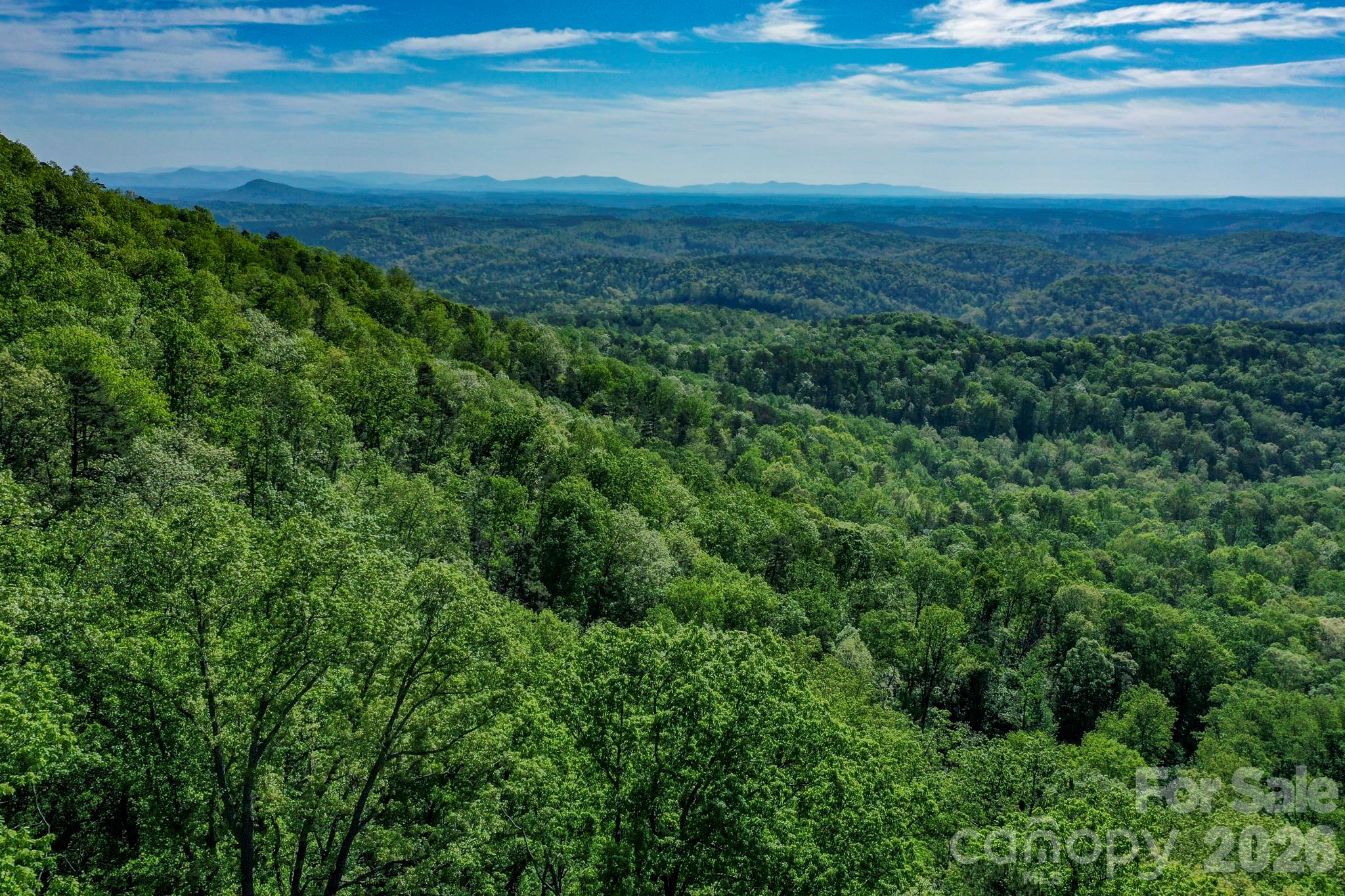 0 Bills Mountain Trail 402 Property Photo 11