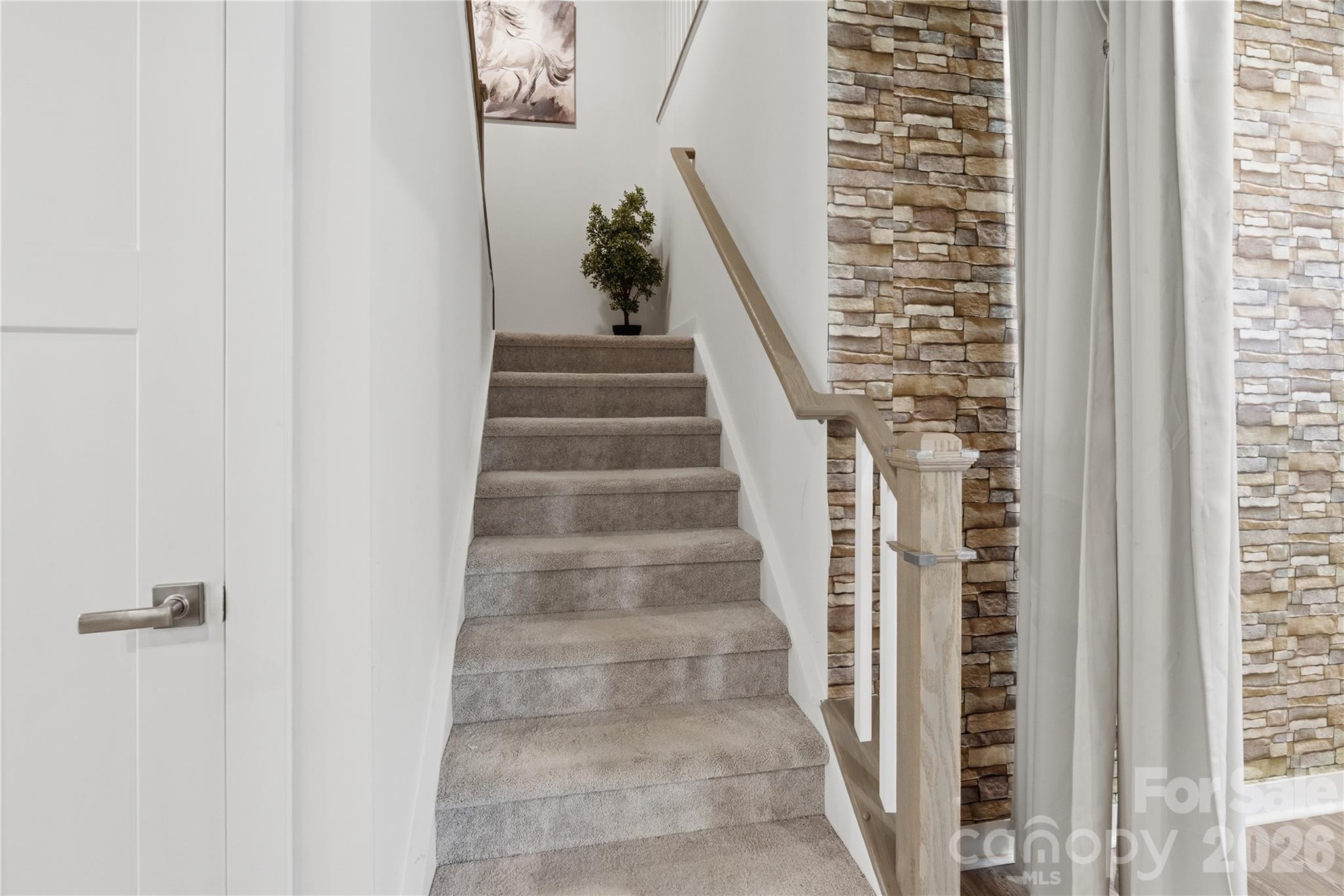 10158 Paper Birch Drive Property Photo 19