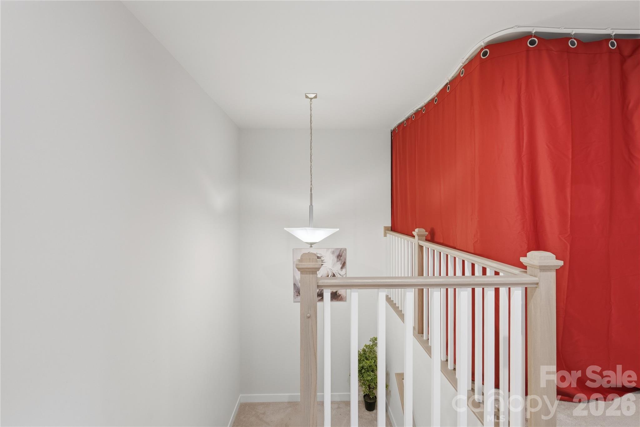 10158 Paper Birch Drive Property Photo 20