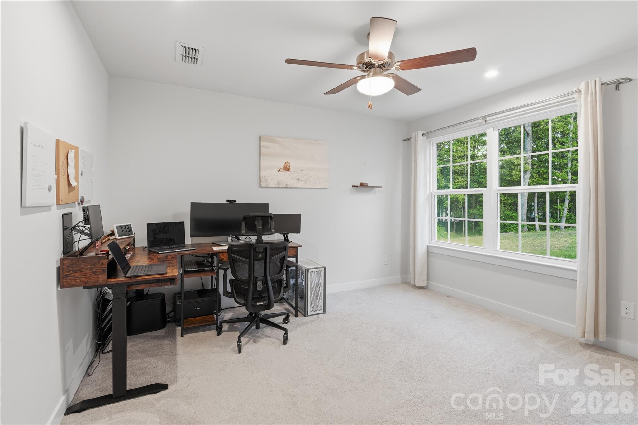 10158 Paper Birch Drive Property Photo 29