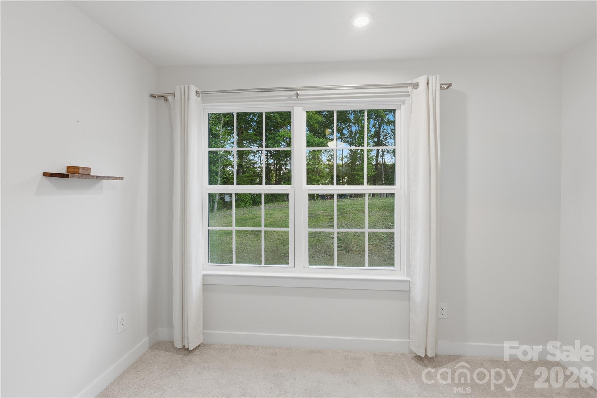 10158 Paper Birch Drive Property Photo 30