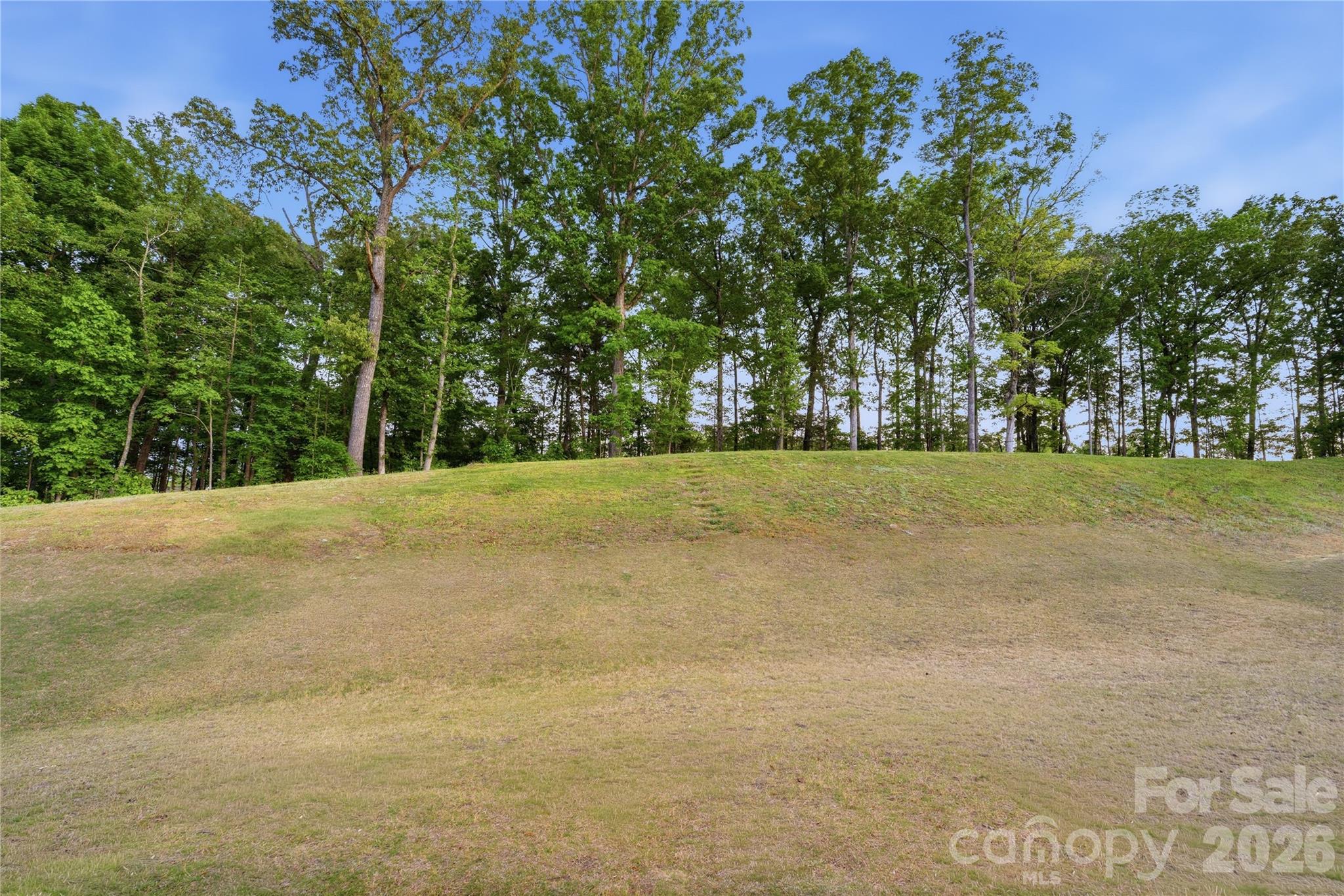 10158 Paper Birch Drive Property Photo 45