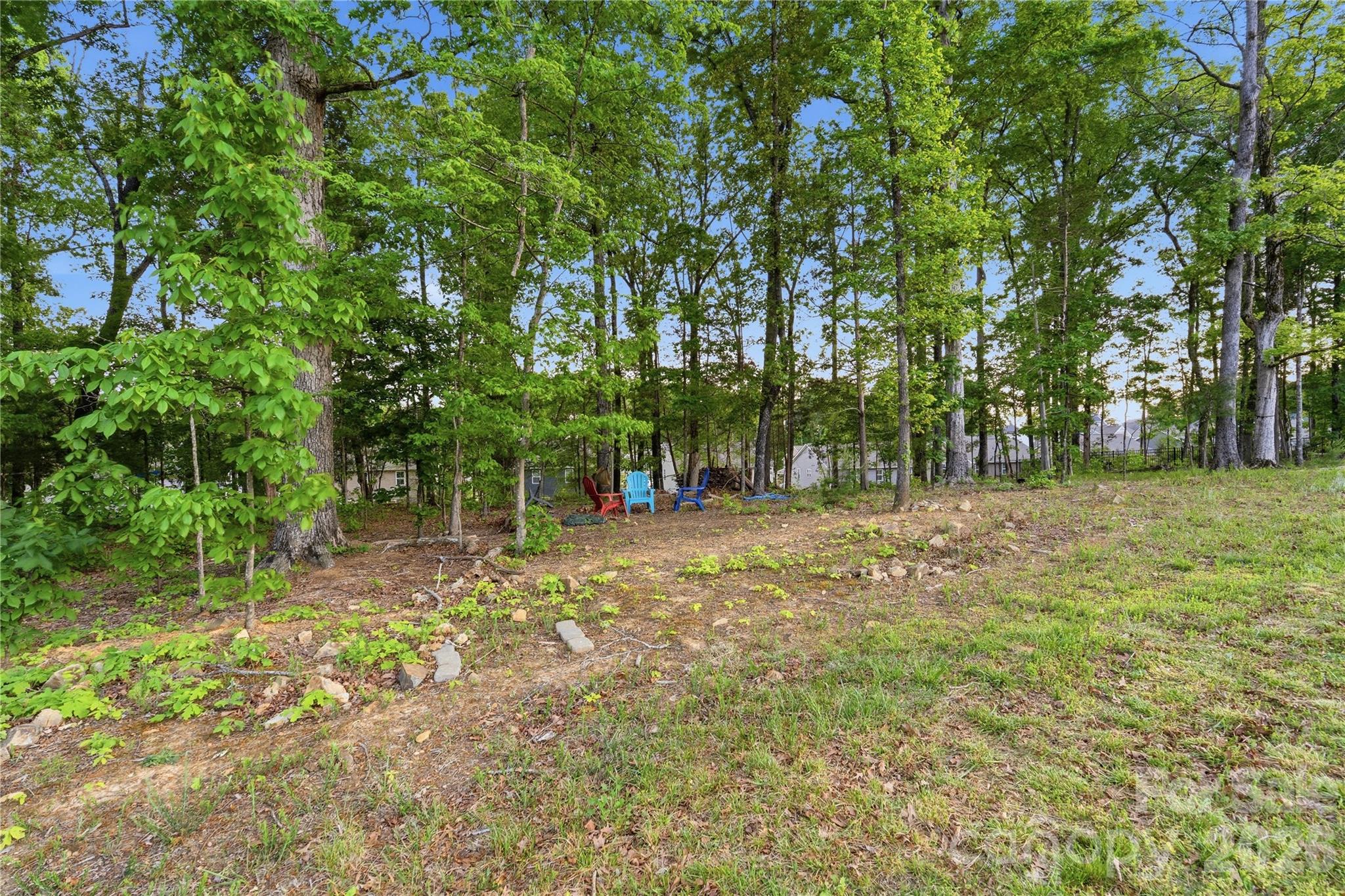 10158 Paper Birch Drive Property Photo 46