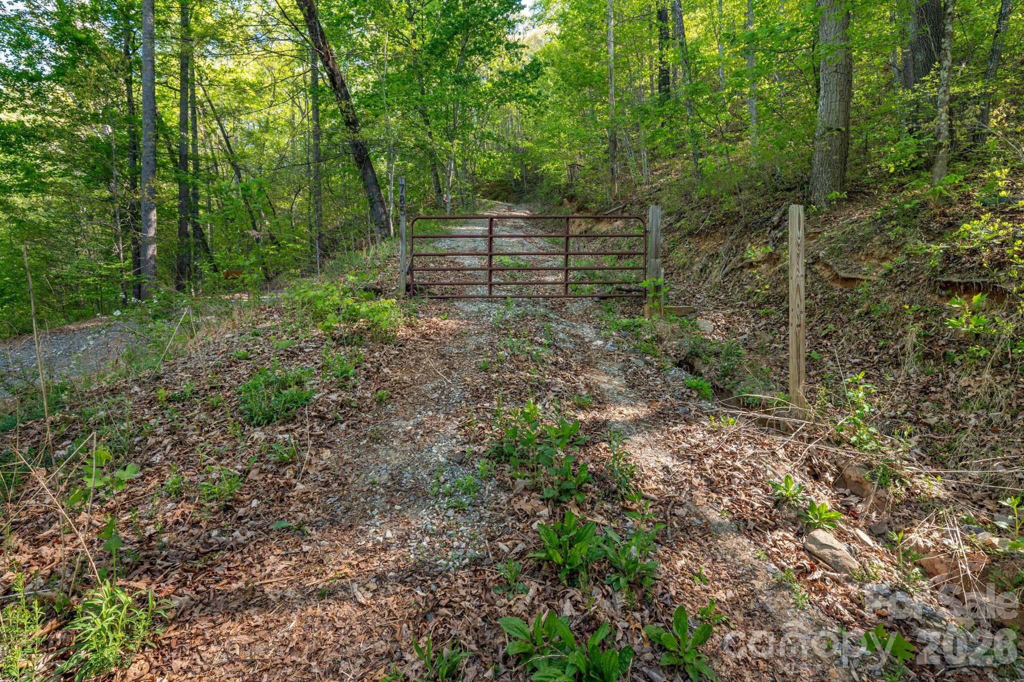 841 Laurel Spring Drive Property Photo 3