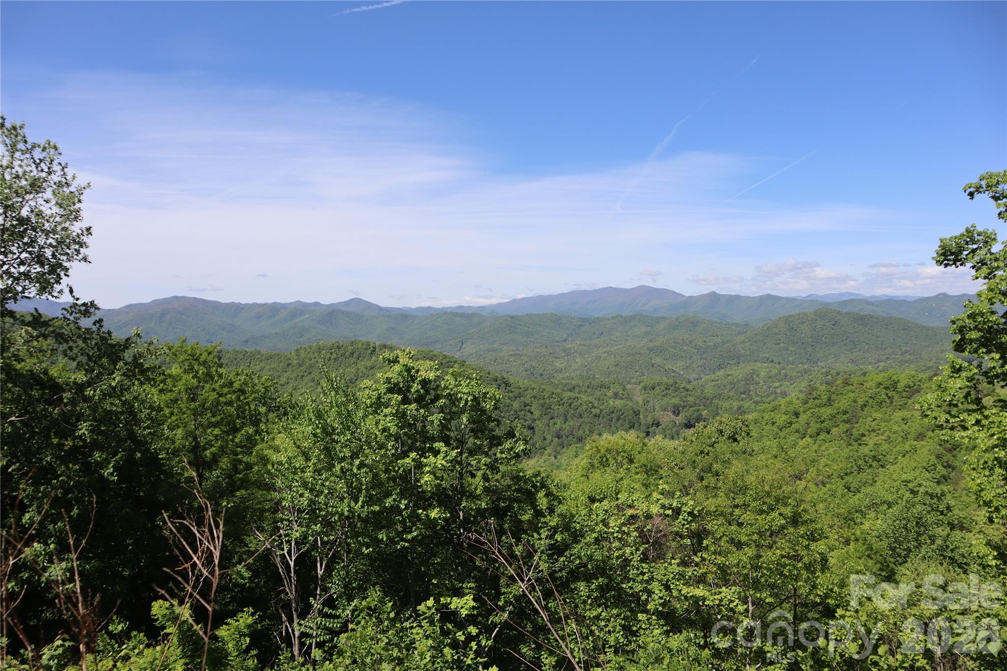 841 Laurel Spring Drive Property Photo 13