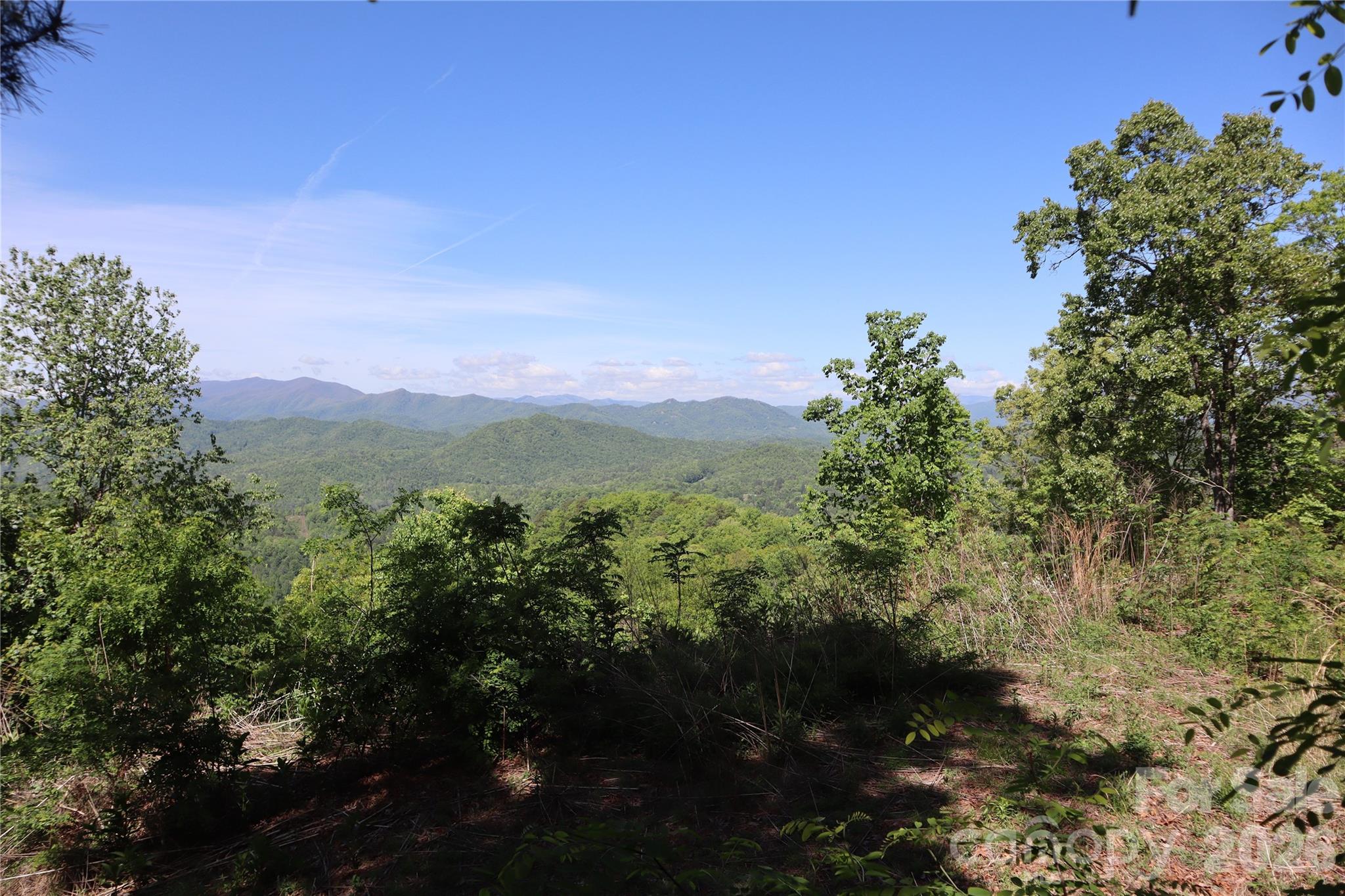 841 Laurel Spring Drive Property Photo 14