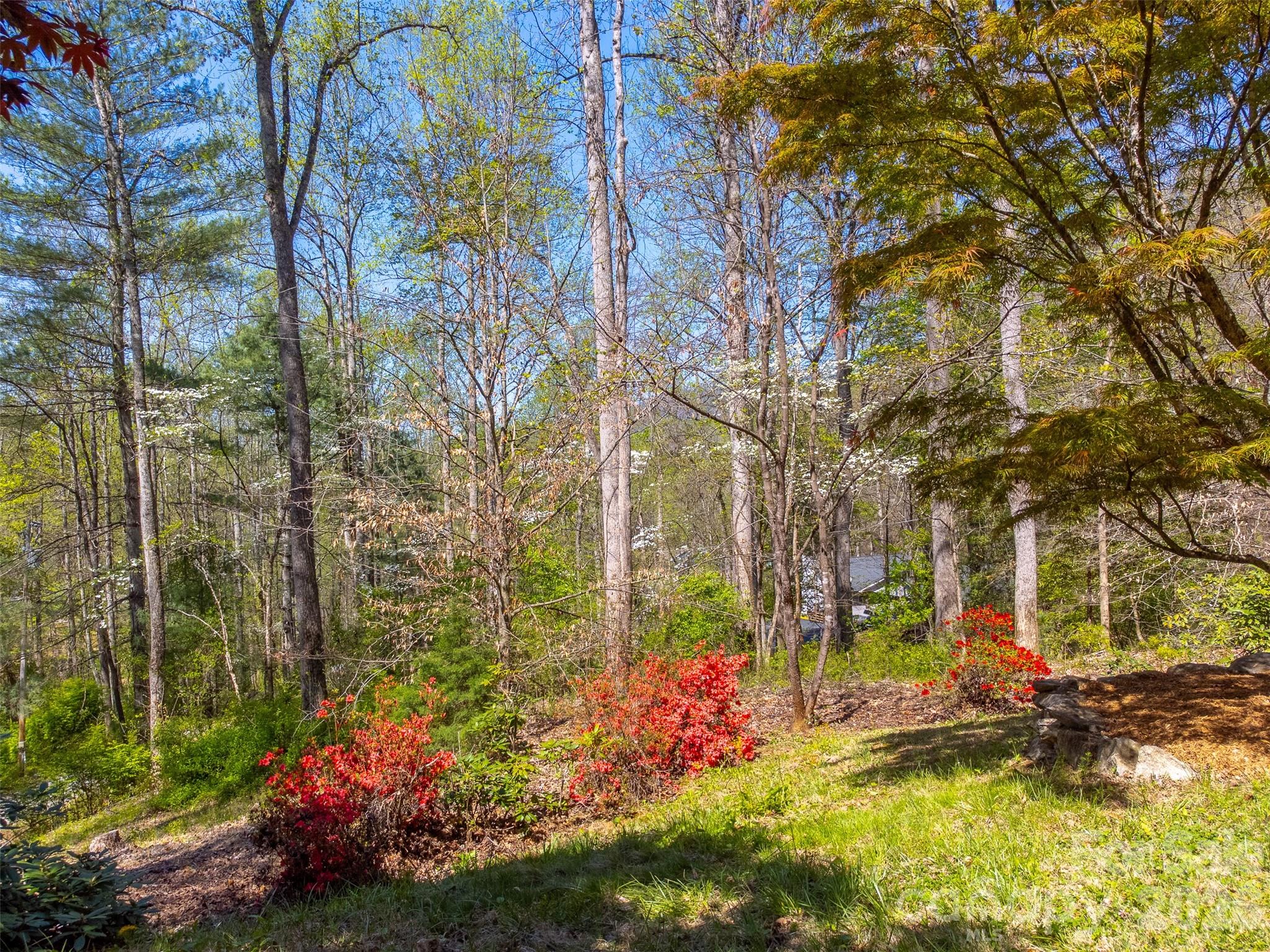605 Toy Cove Road Property Photo 48