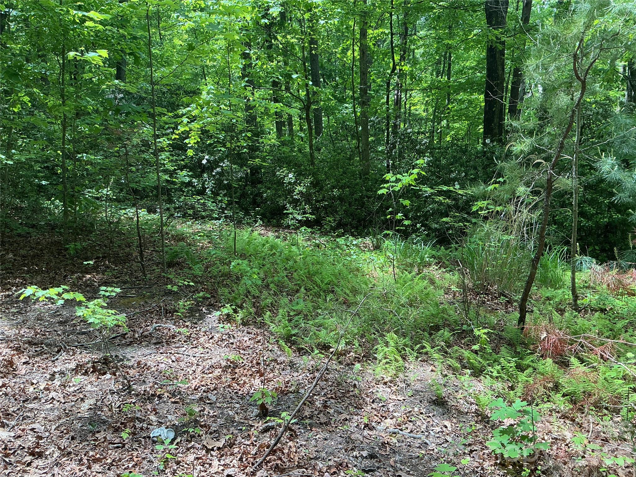 00 Green River Cove Road Property Photo 1