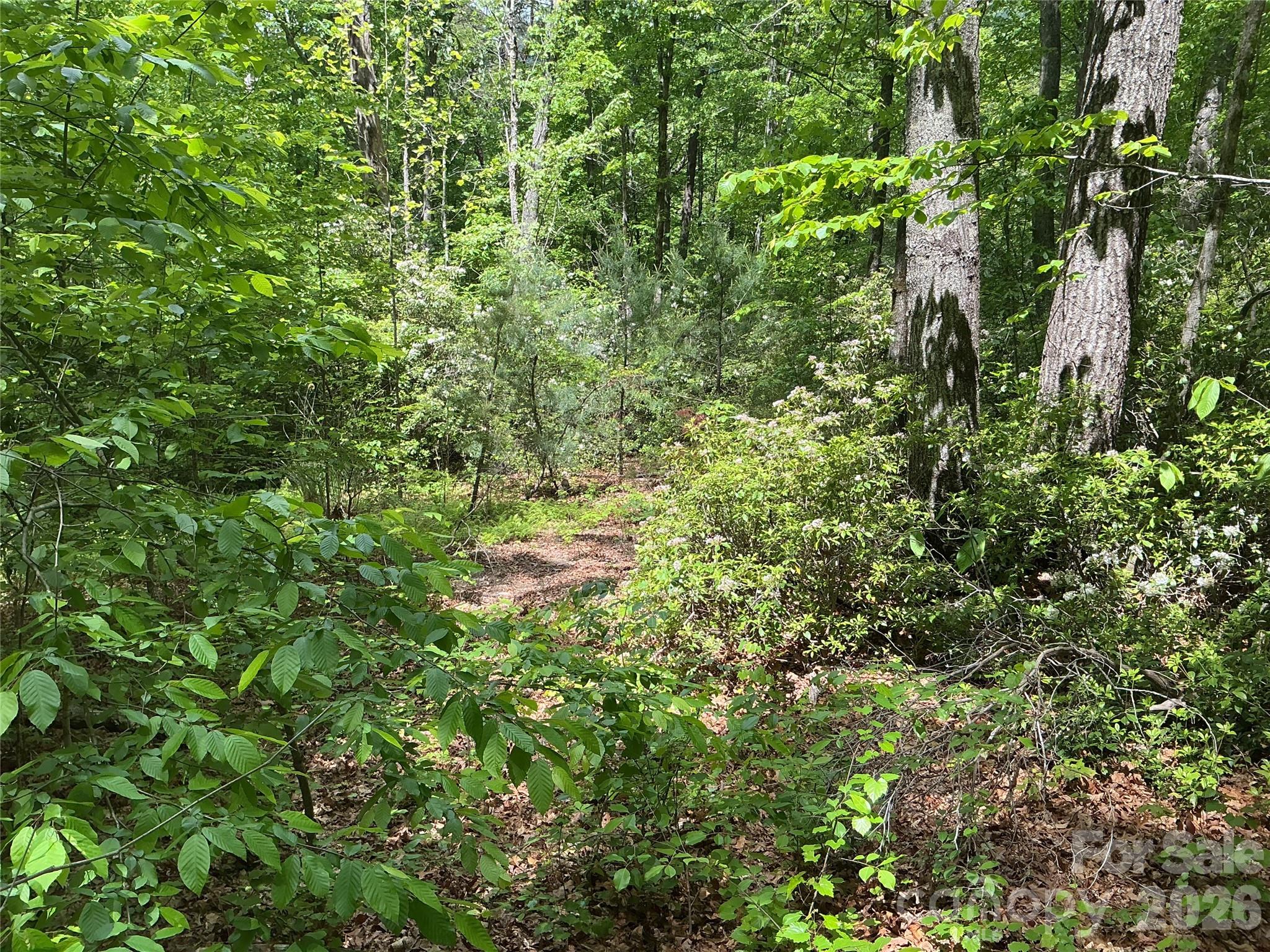 00 Green River Cove Road Property Photo 3
