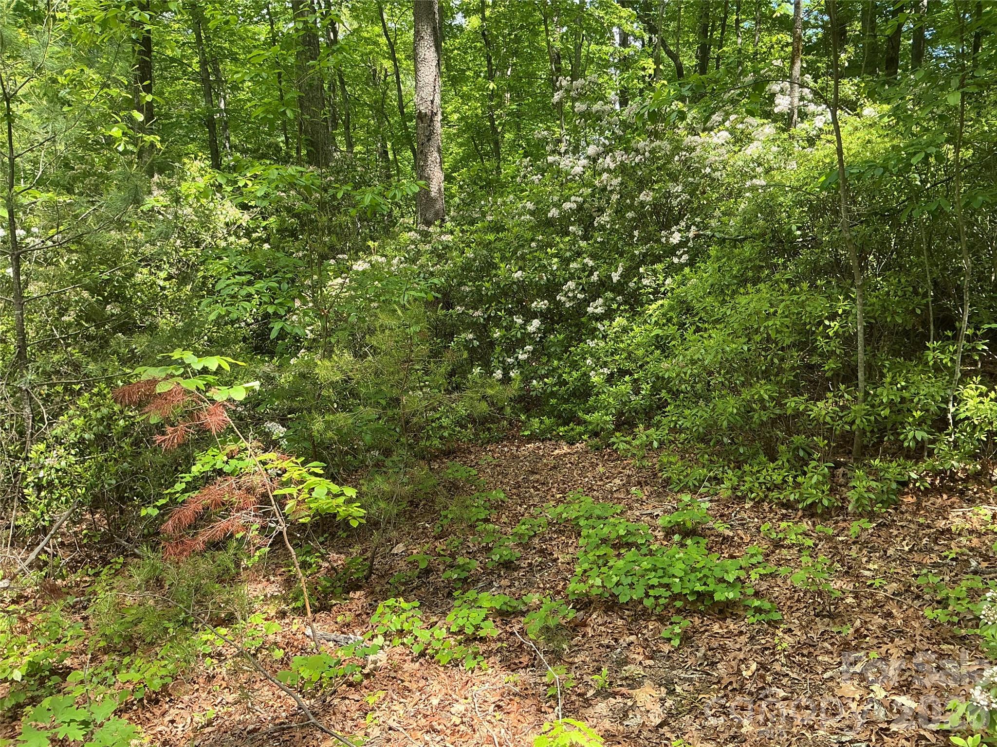 00 Green River Cove Road Property Photo 4