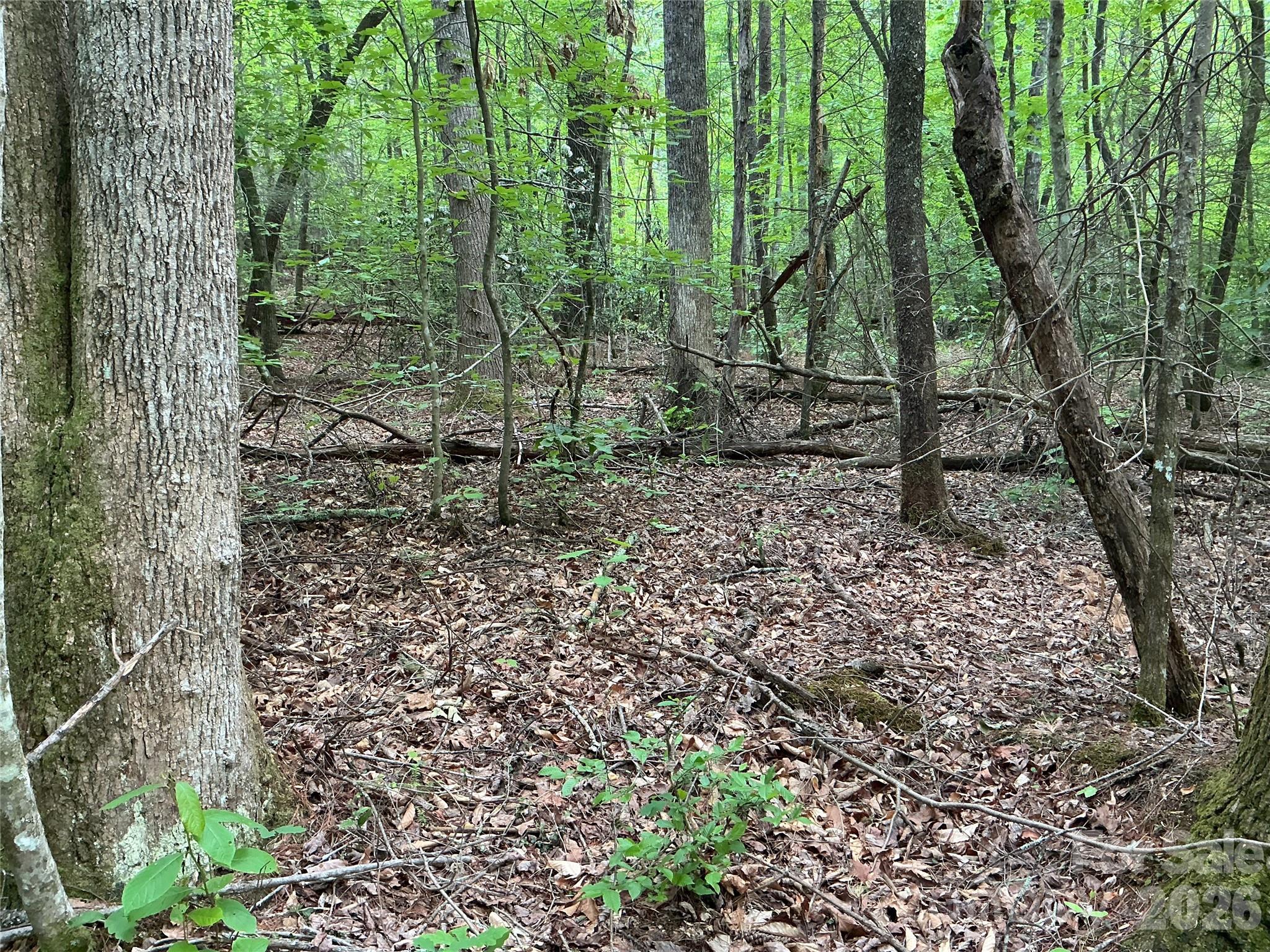 00 Green River Cove Road Property Photo 7