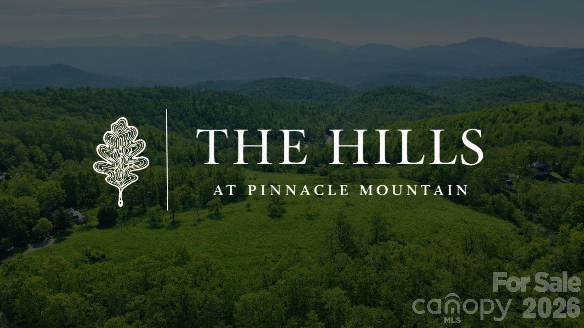 4105 Pinnacle Mountain Road Property Photo 1