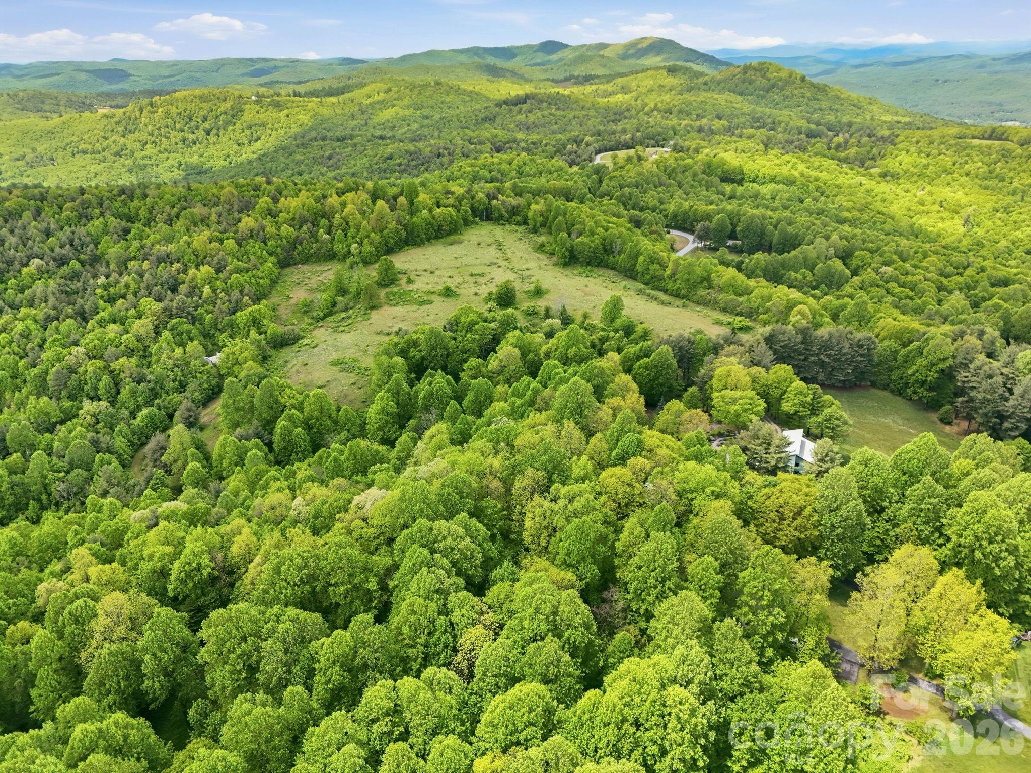 4105 Pinnacle Mountain Road Property Photo 5