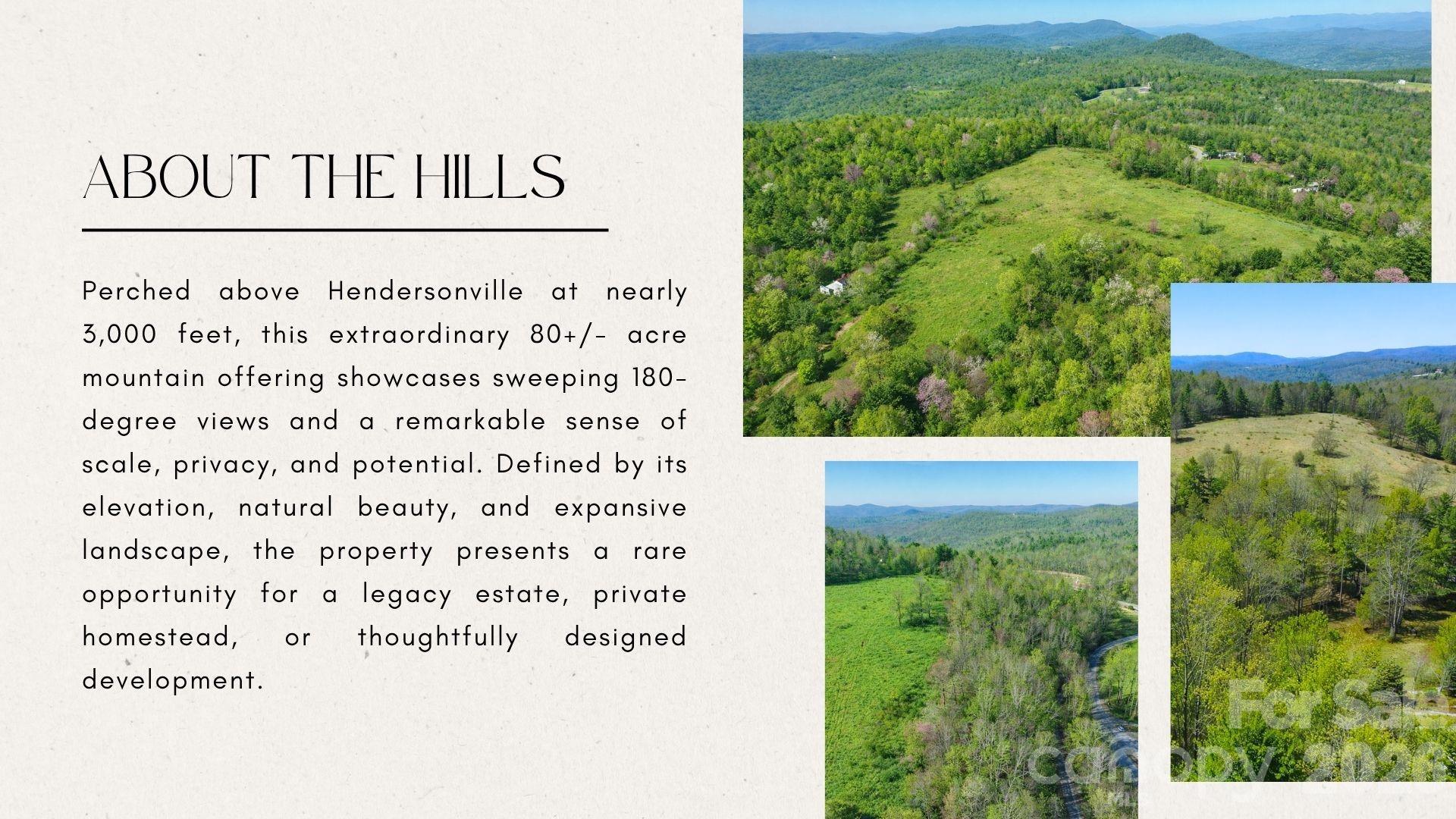 4105 Pinnacle Mountain Road Property Photo 6