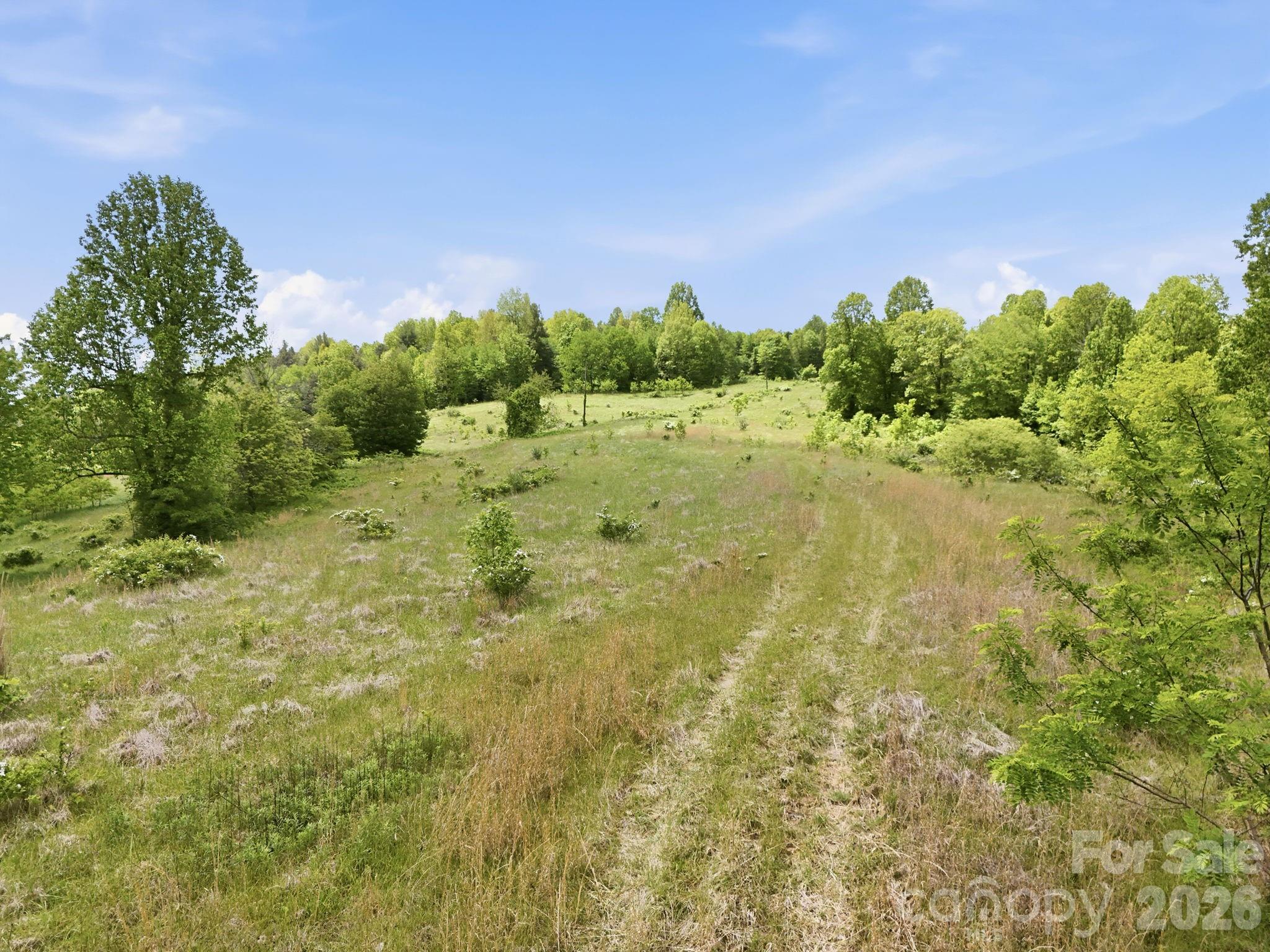4105 Pinnacle Mountain Road Property Photo 12
