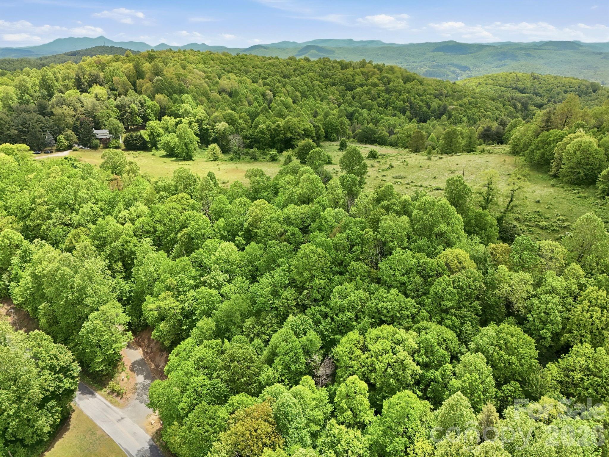 4105 Pinnacle Mountain Road Property Photo 19
