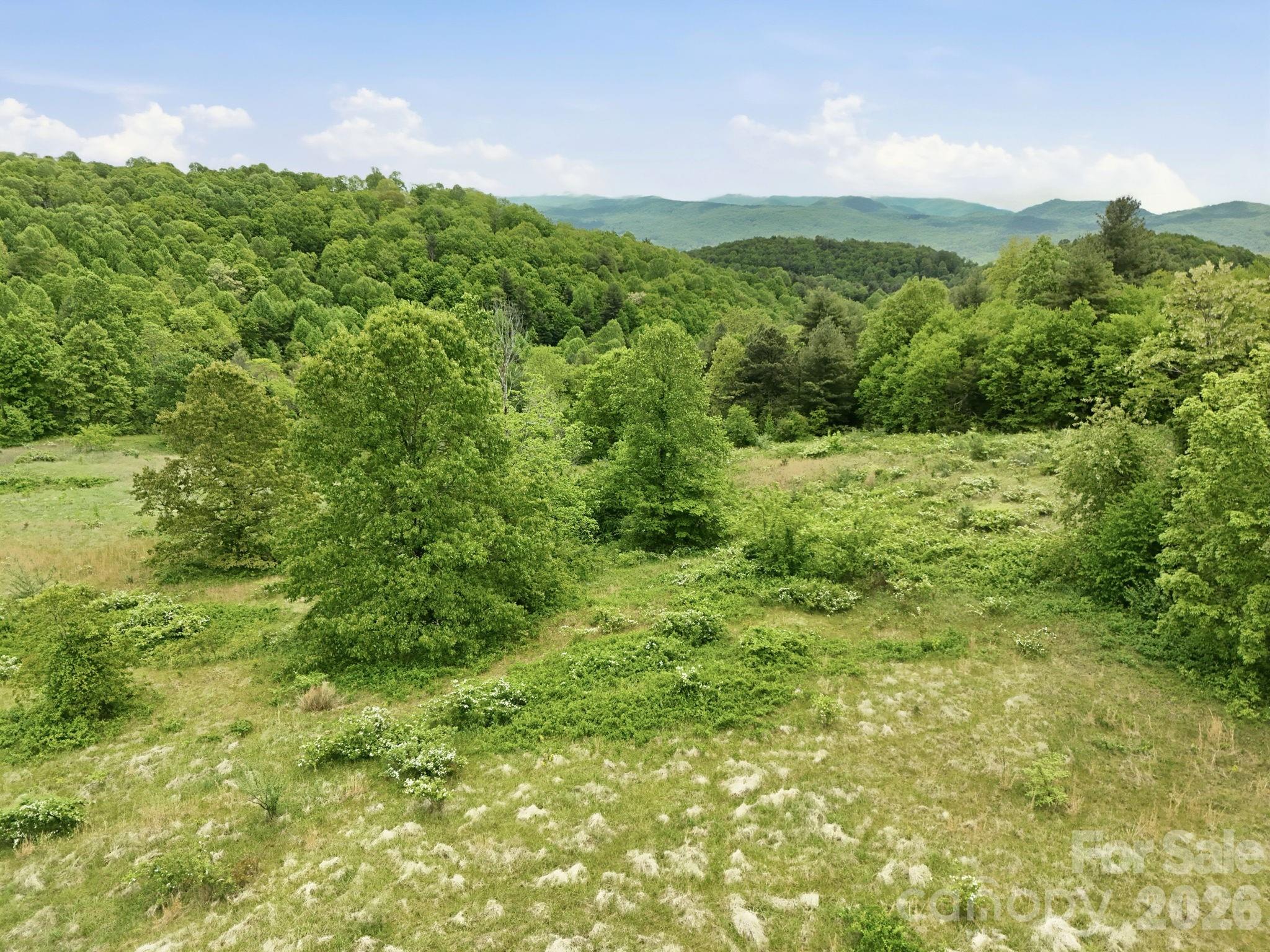 4105 Pinnacle Mountain Road Property Photo 21