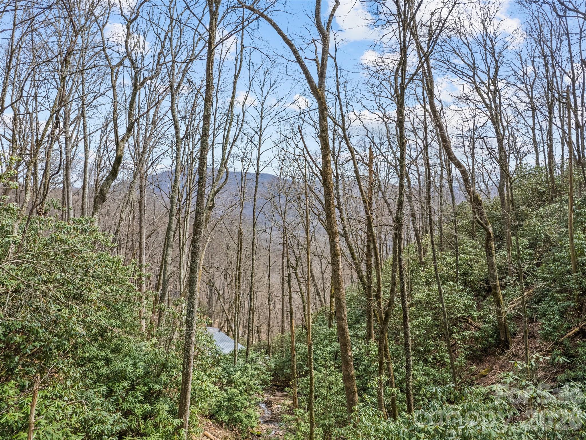 57 Grosbeak Trail Property Photo 4