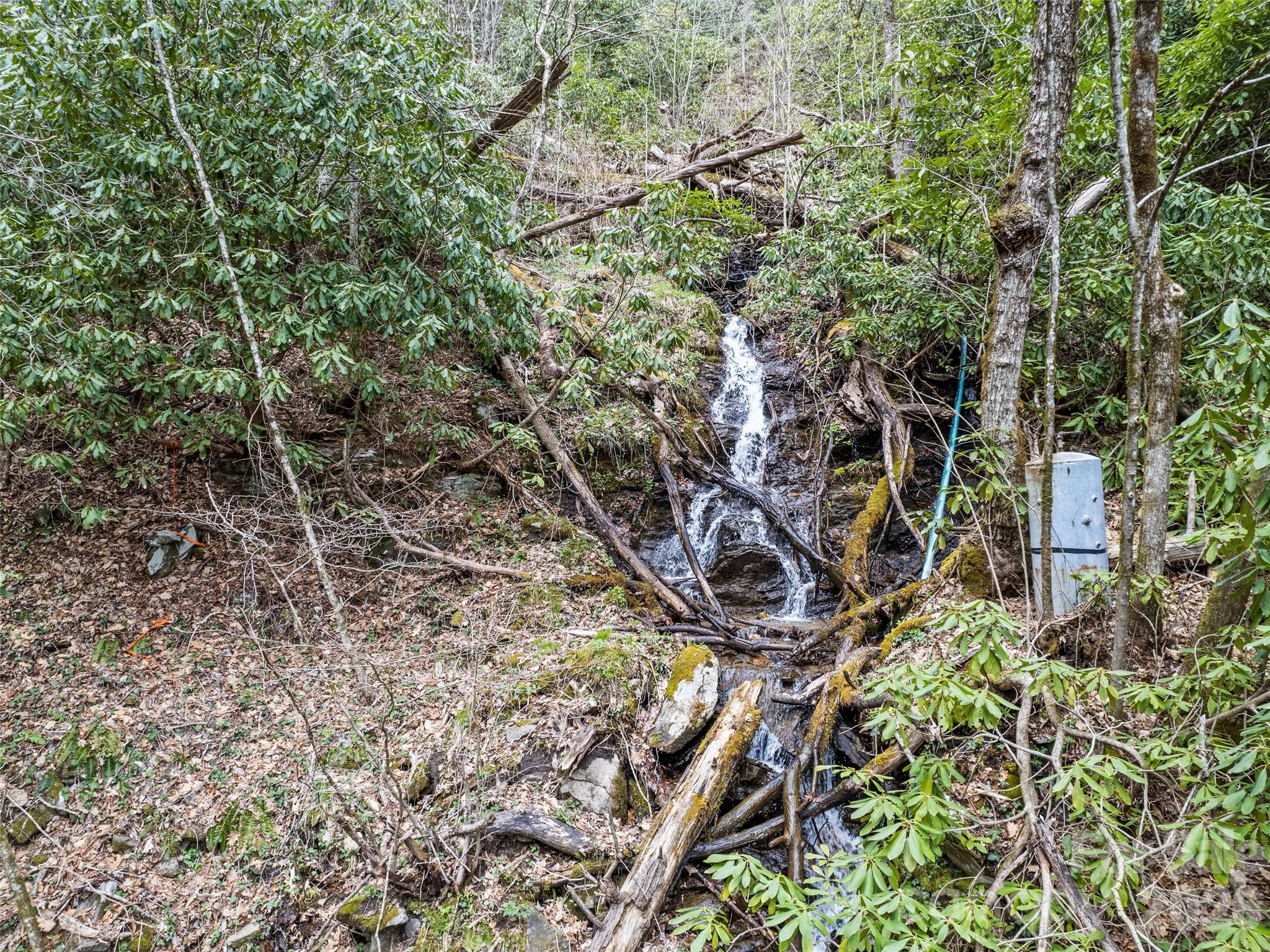 57 Grosbeak Trail Property Photo 12