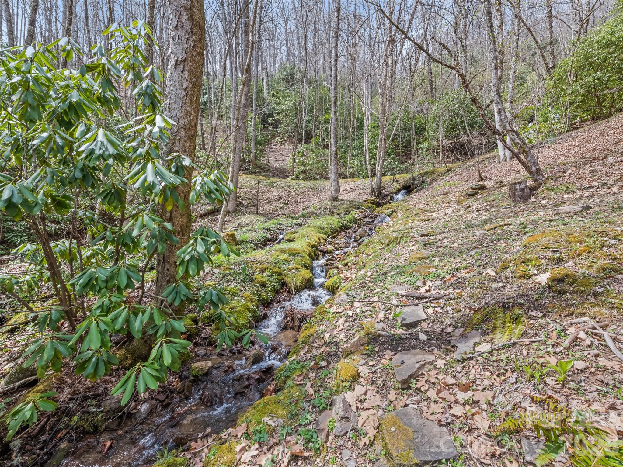 57 Grosbeak Trail Property Photo 40