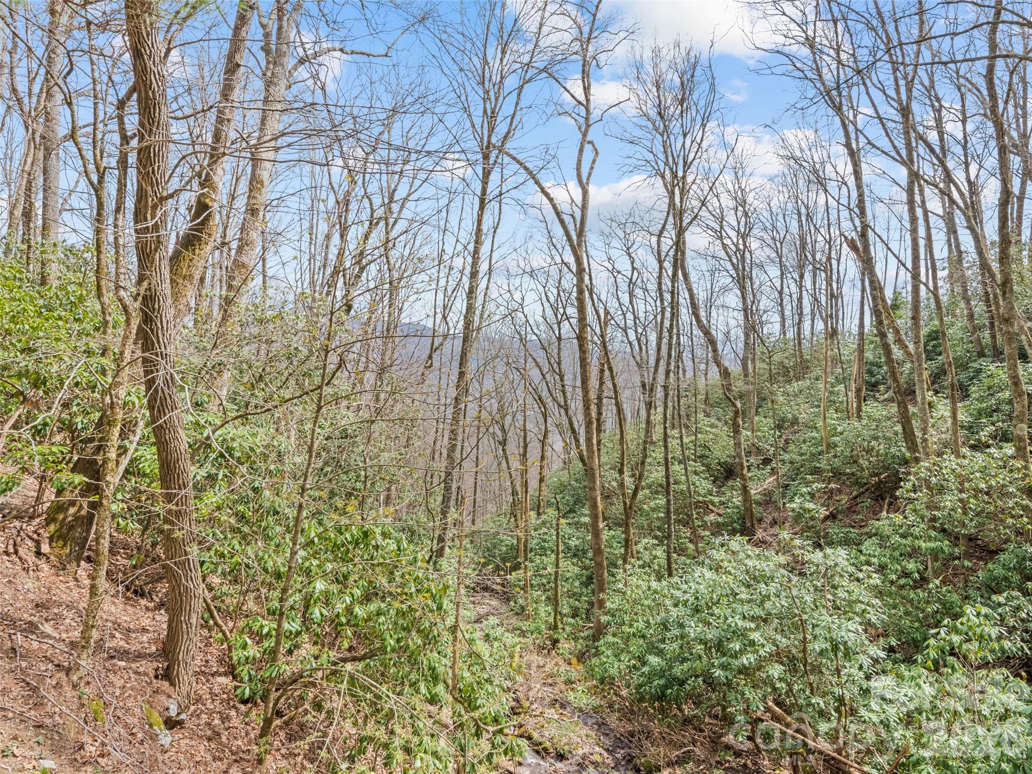57 Grosbeak Trail Property Photo 45