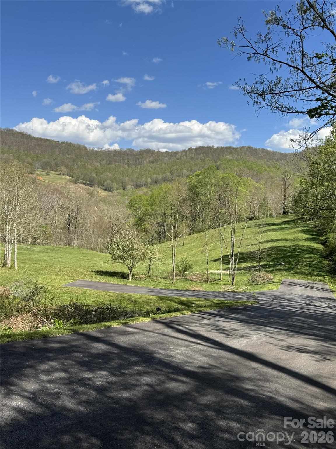 Lot 47b Elk Creek Mountain Parkway Property Photo 5