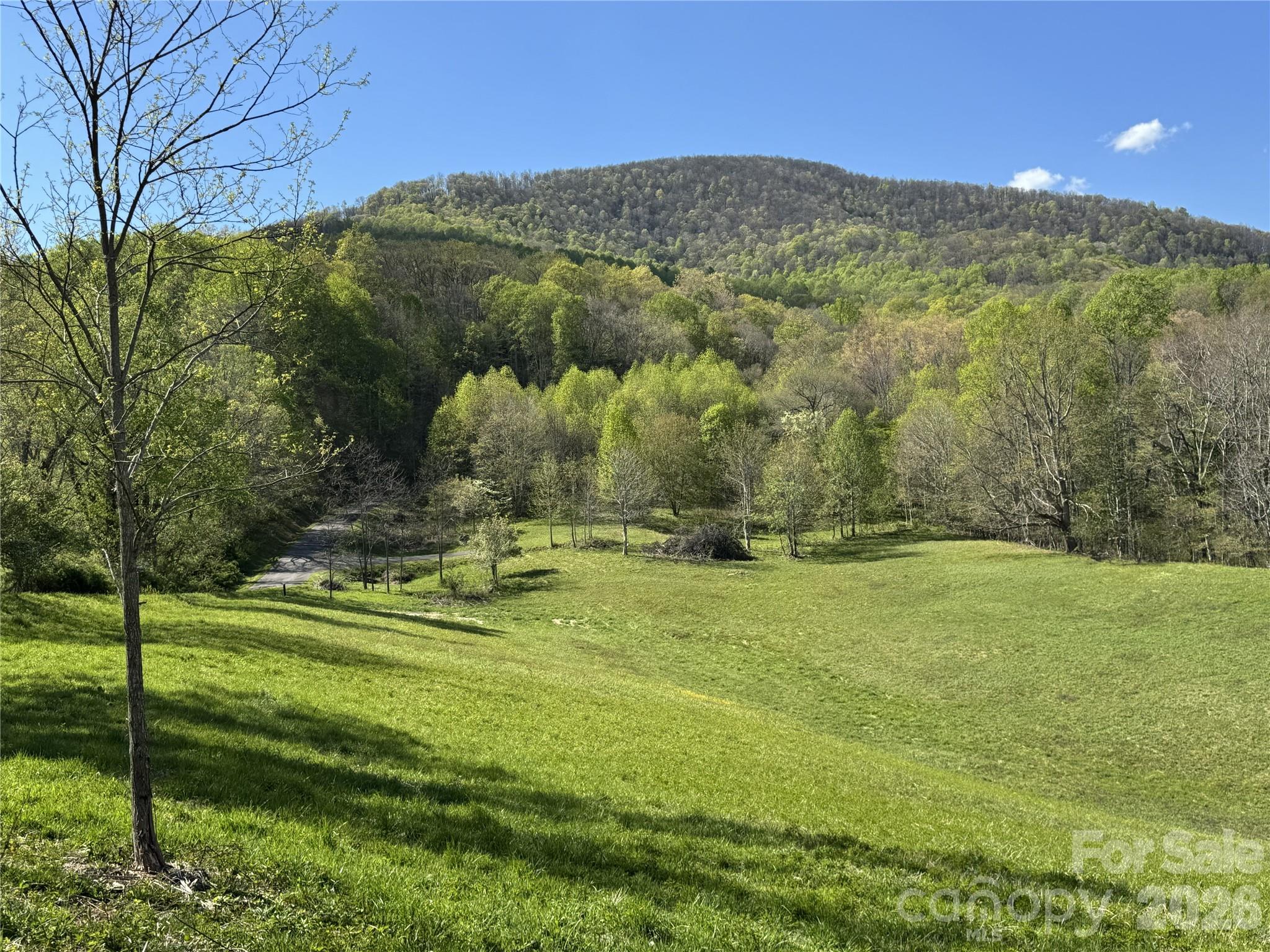 Lot 47b Elk Creek Mountain Parkway Property Photo 6