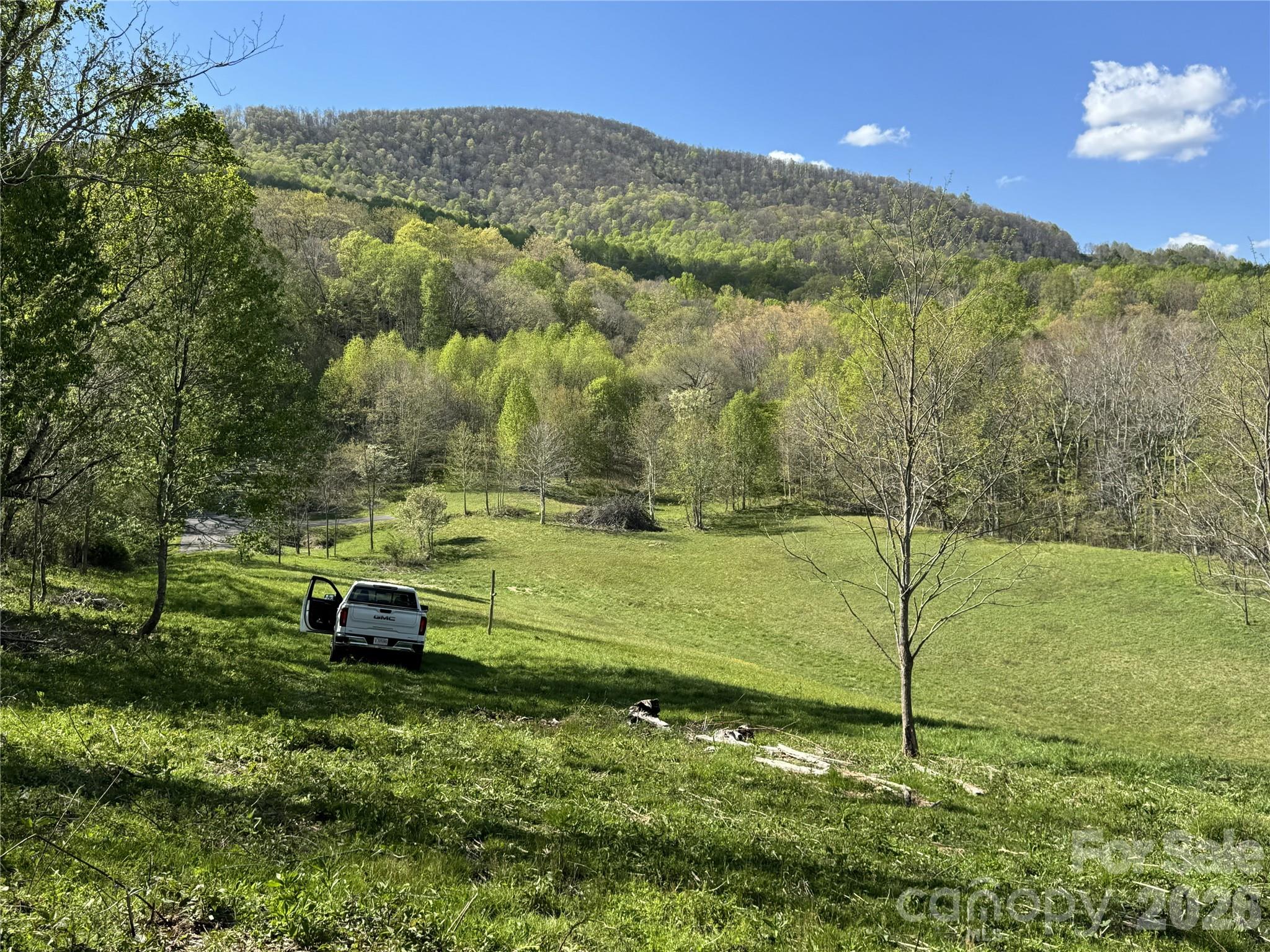 Lot 47b Elk Creek Mountain Parkway Property Photo 8