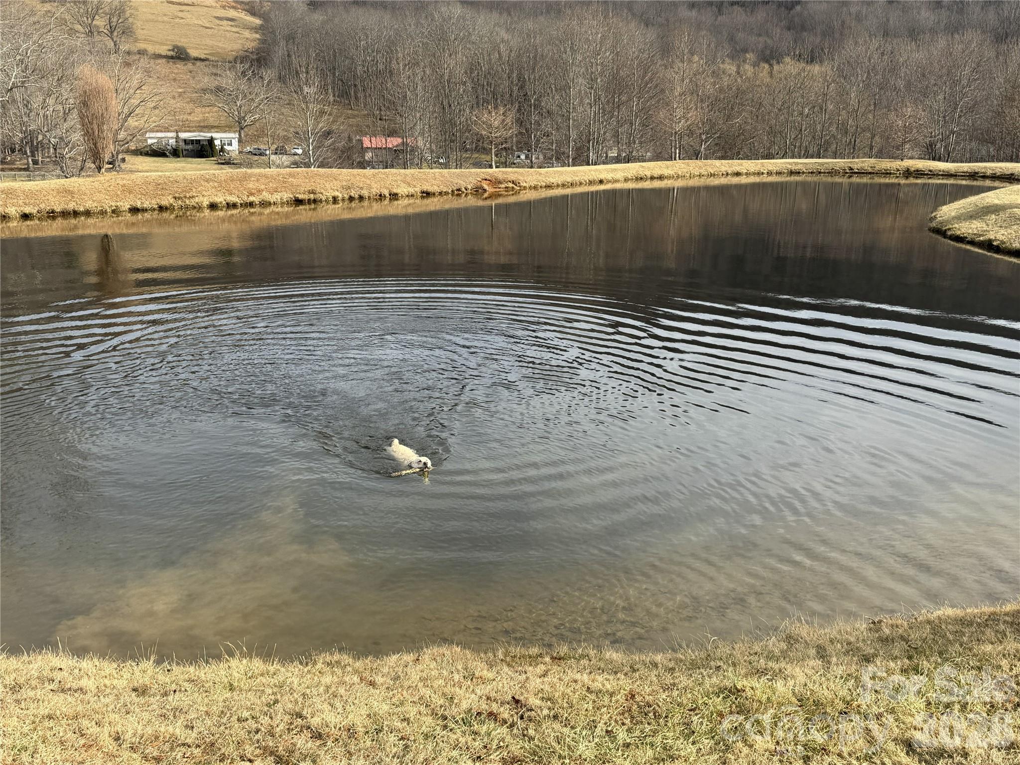 Lot 47b Elk Creek Mountain Parkway Property Photo 12