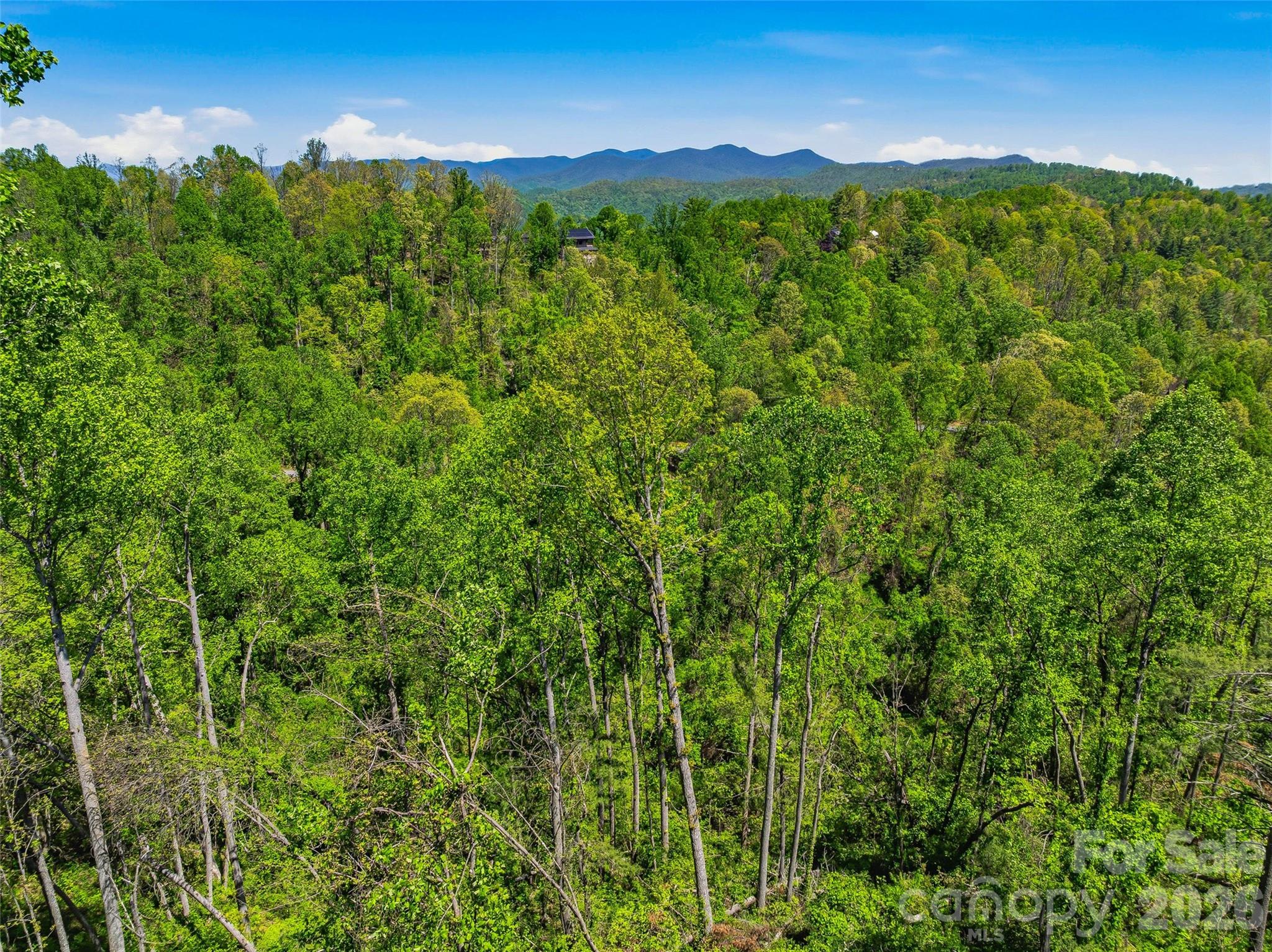 135 Starling Pass Property Photo 4