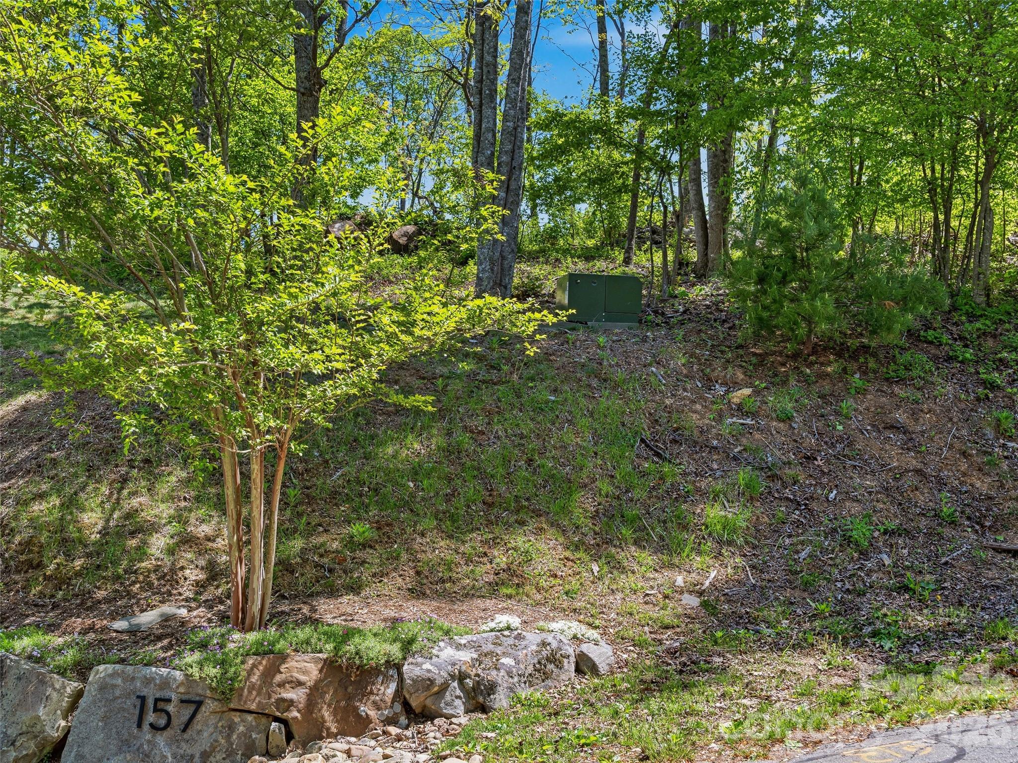 135 Starling Pass Property Photo 25