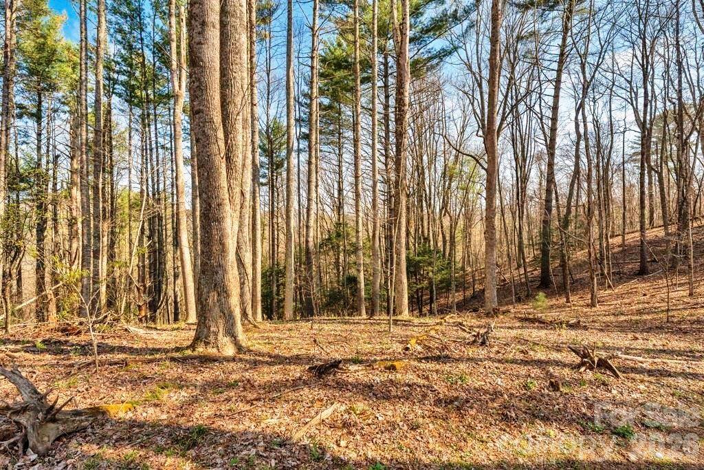 Tbd Private Drive Property Photo 1