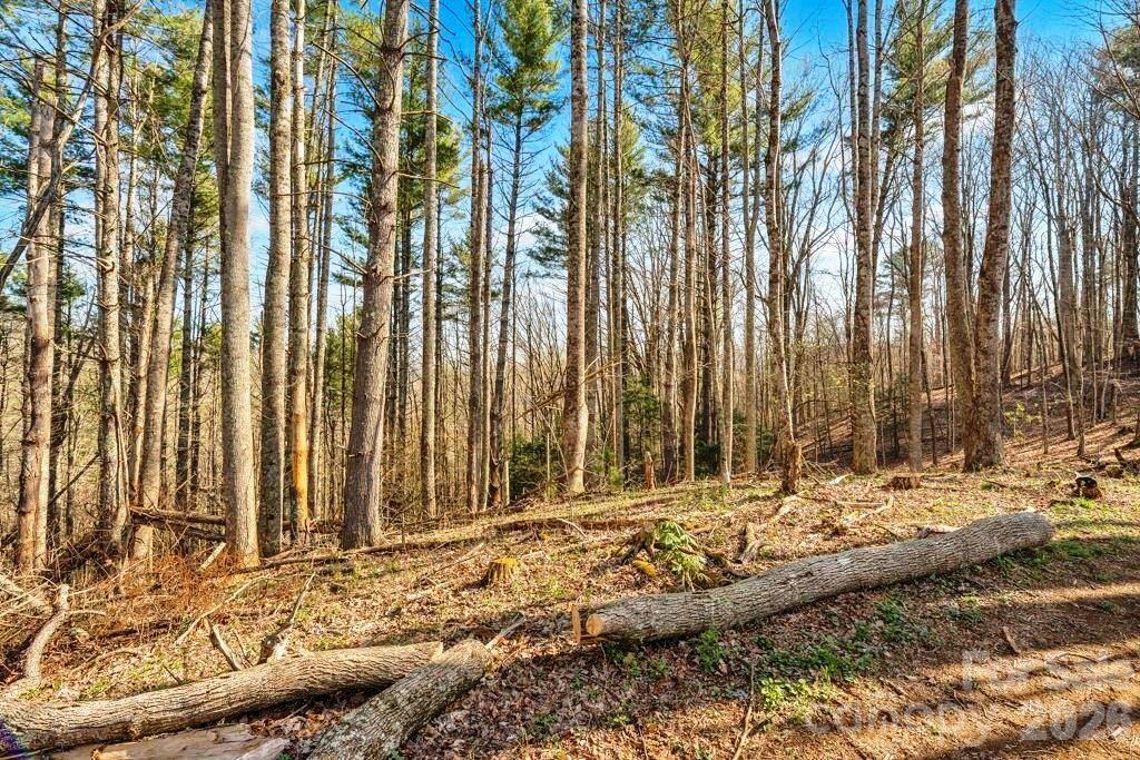 Tbd Private Drive Property Photo 4