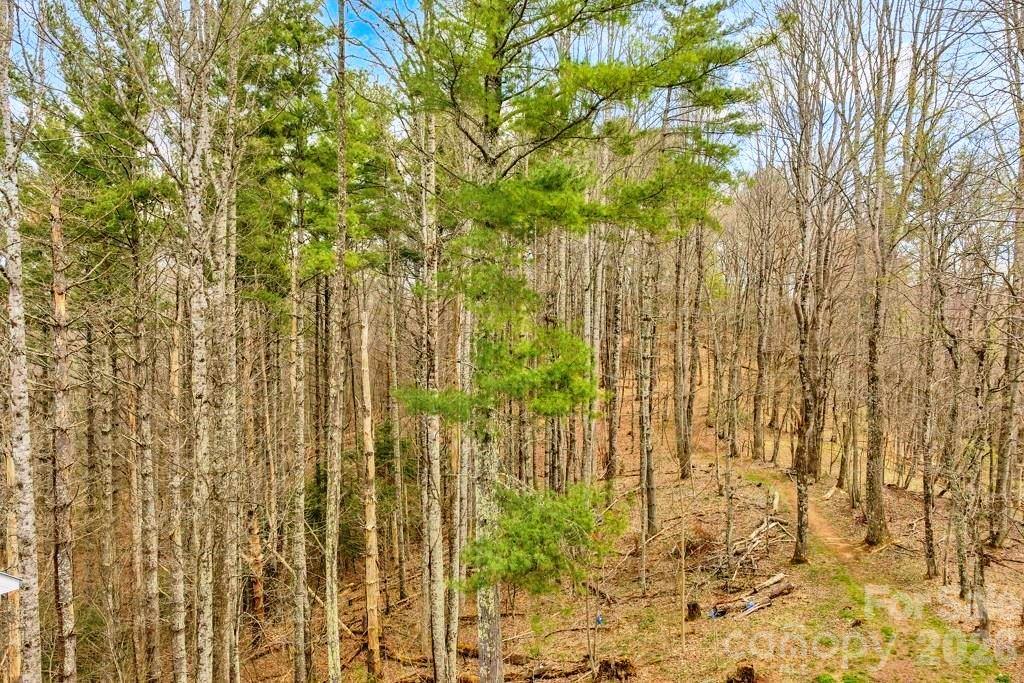 Tbd Private Drive Property Photo 5