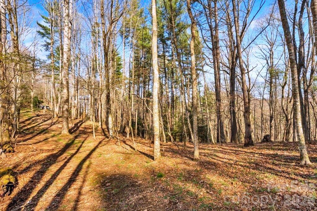 Tbd Private Drive Property Photo 6
