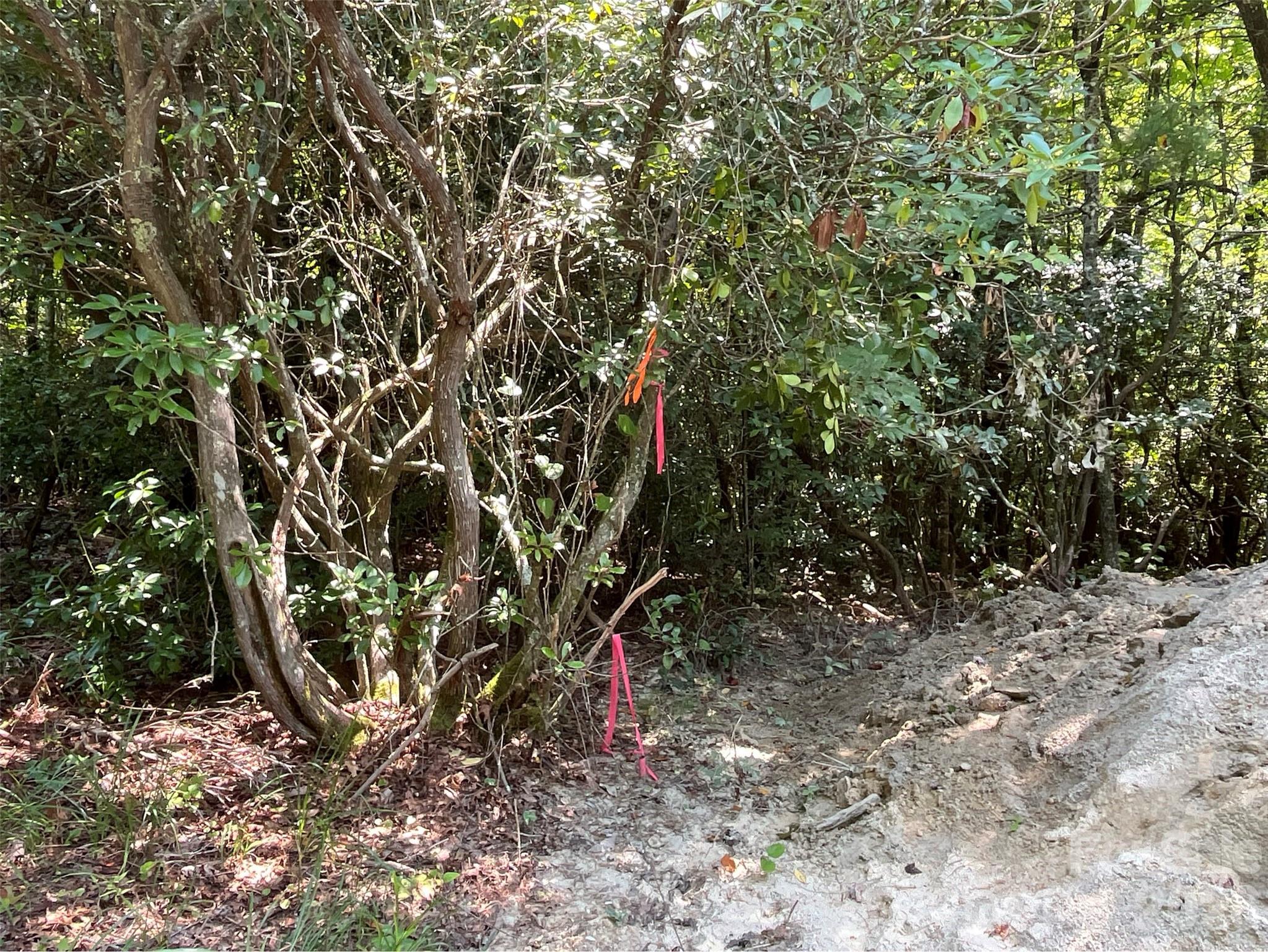9999 Erwin Hill Drive Property Photo 1