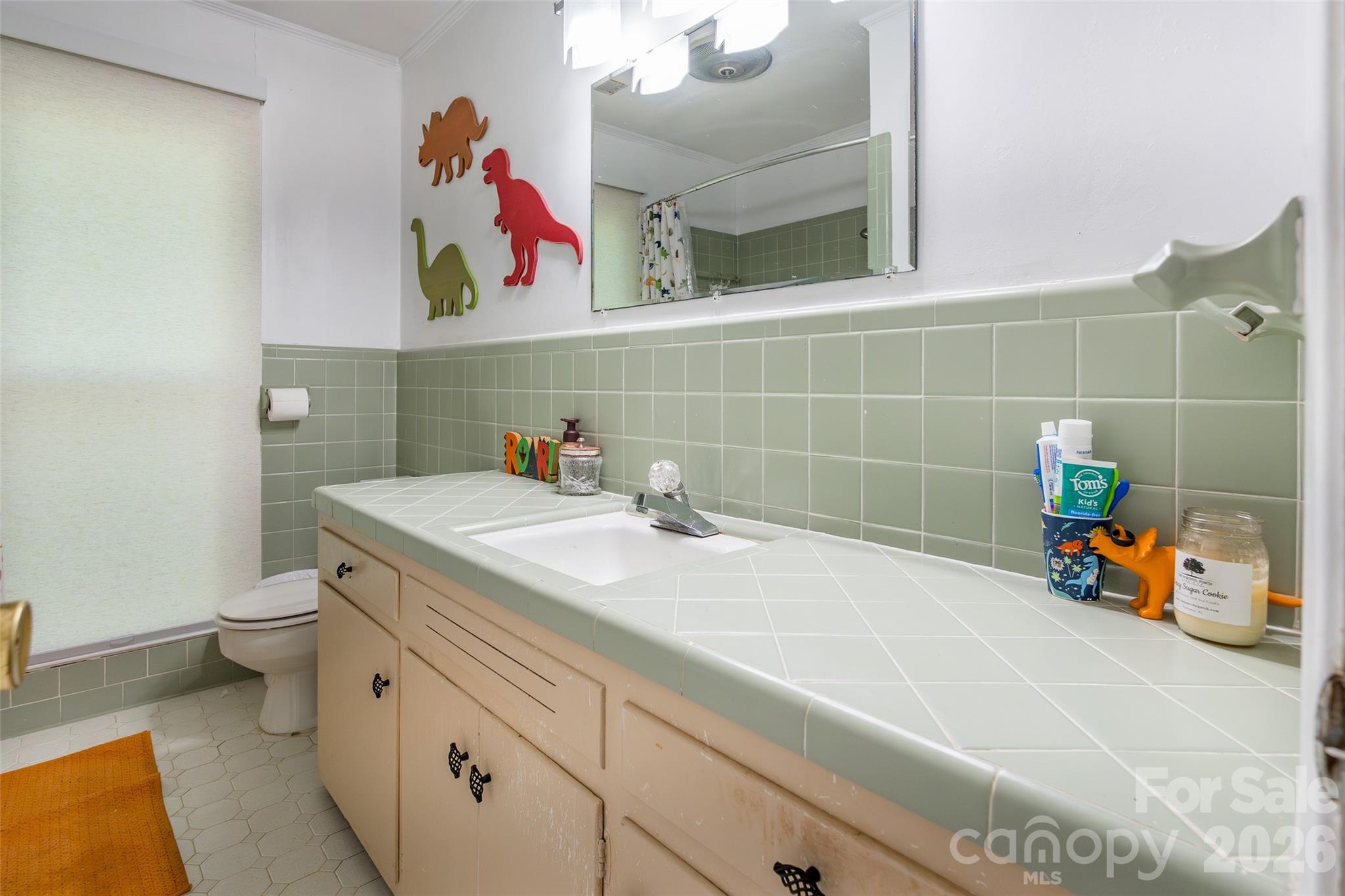 513 Mountainbrook Road Property Photo 37