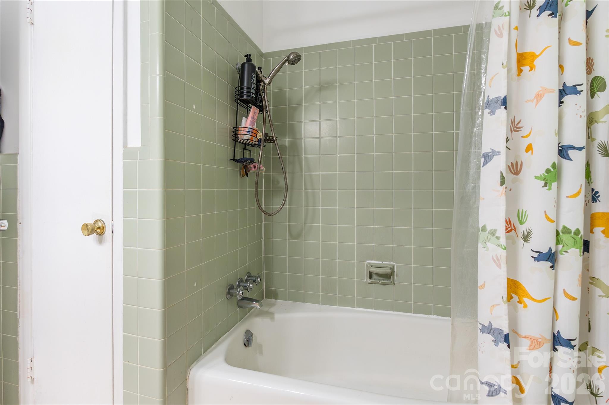 513 Mountainbrook Road Property Photo 38