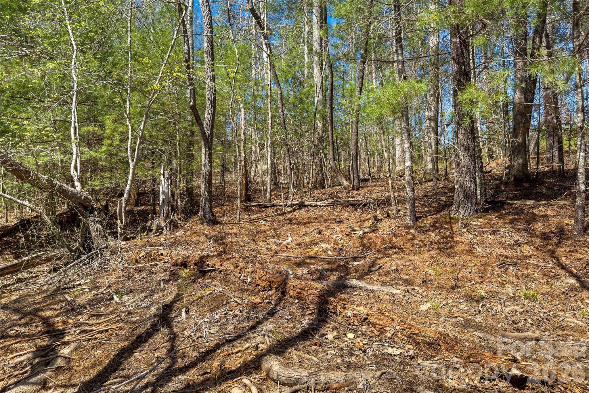 3107 Channel View Cove Property Photo 7