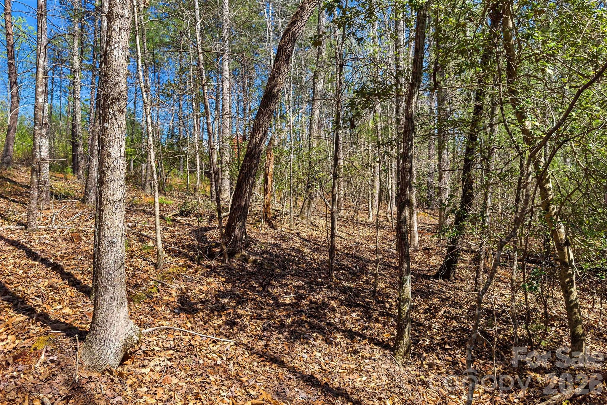 3107 Channel View Cove Property Photo 8