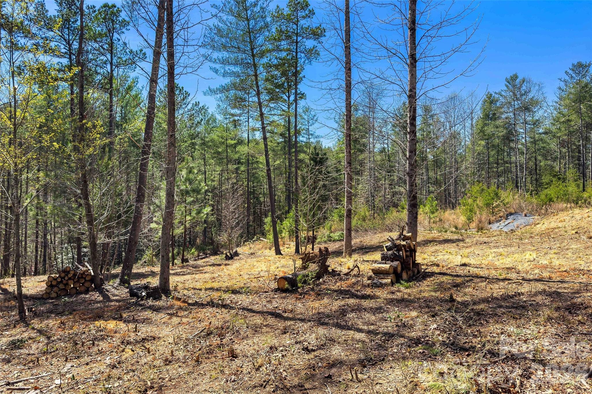 3107 Channel View Cove Property Photo 10