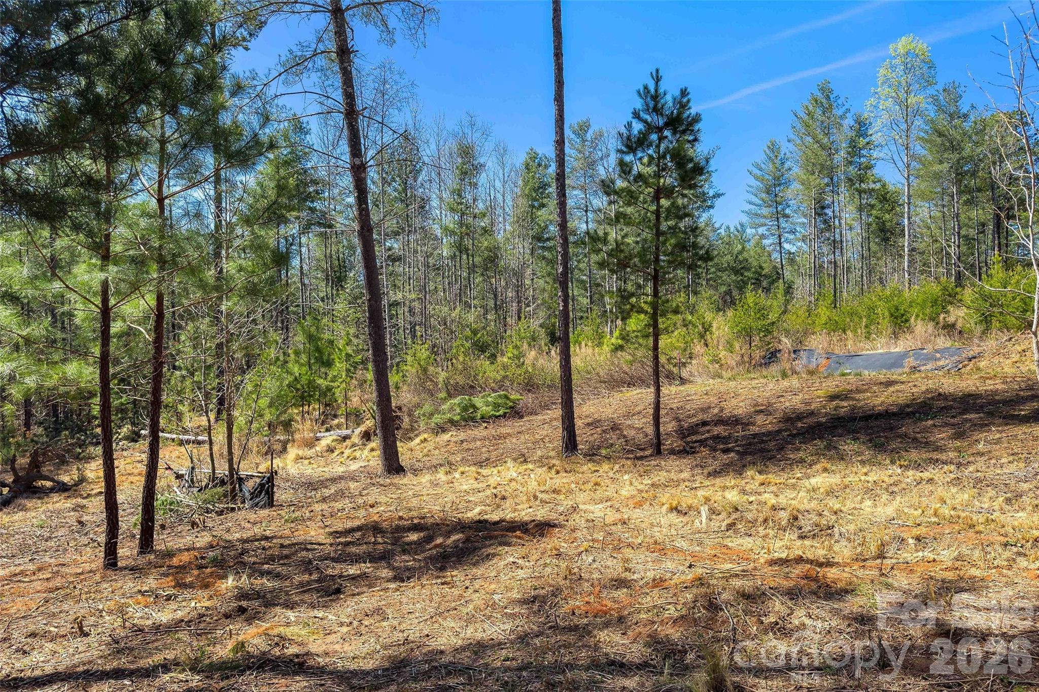 3107 Channel View Cove Property Photo 11