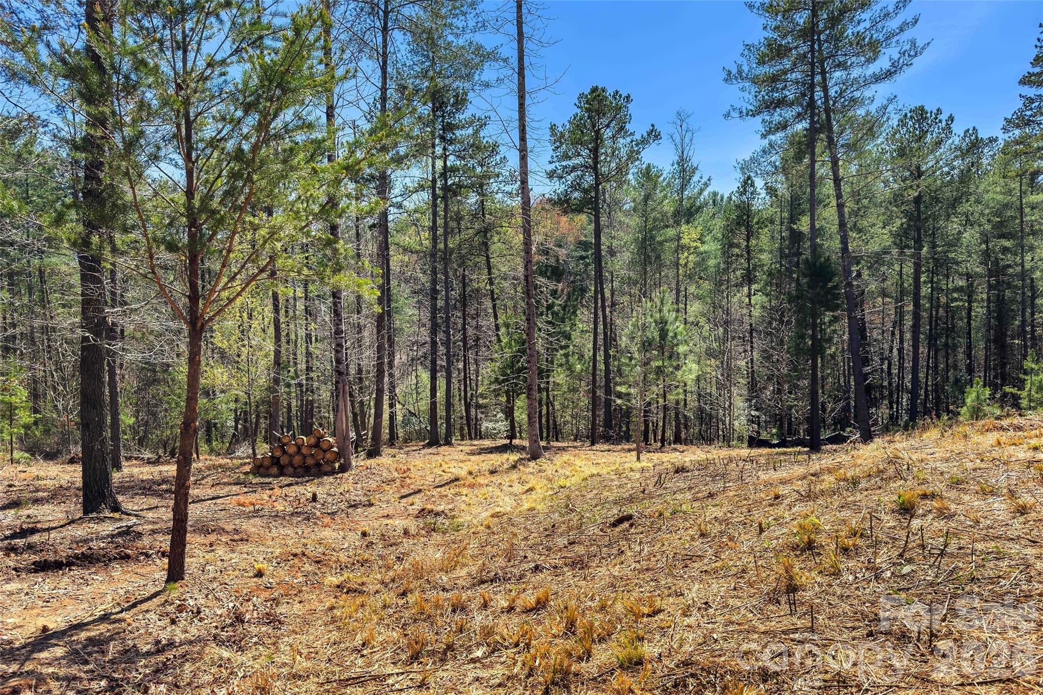 3107 Channel View Cove Property Photo 16