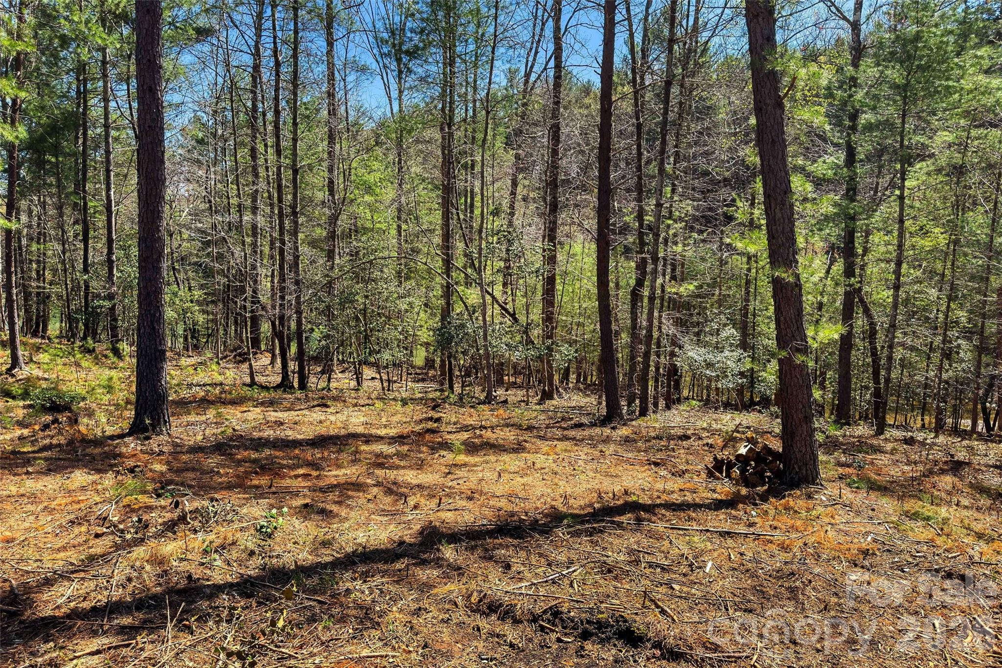 3107 Channel View Cove Property Photo 20