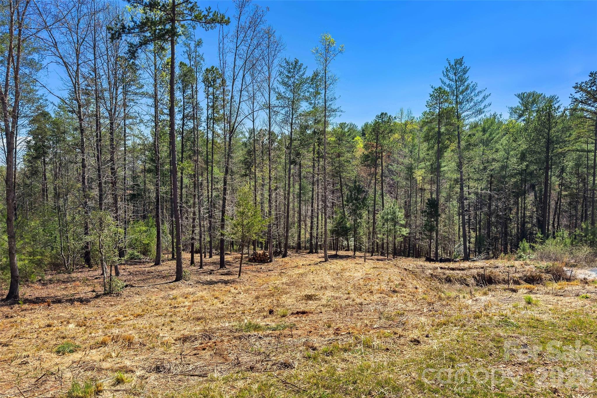 3107 Channel View Cove Property Photo 24