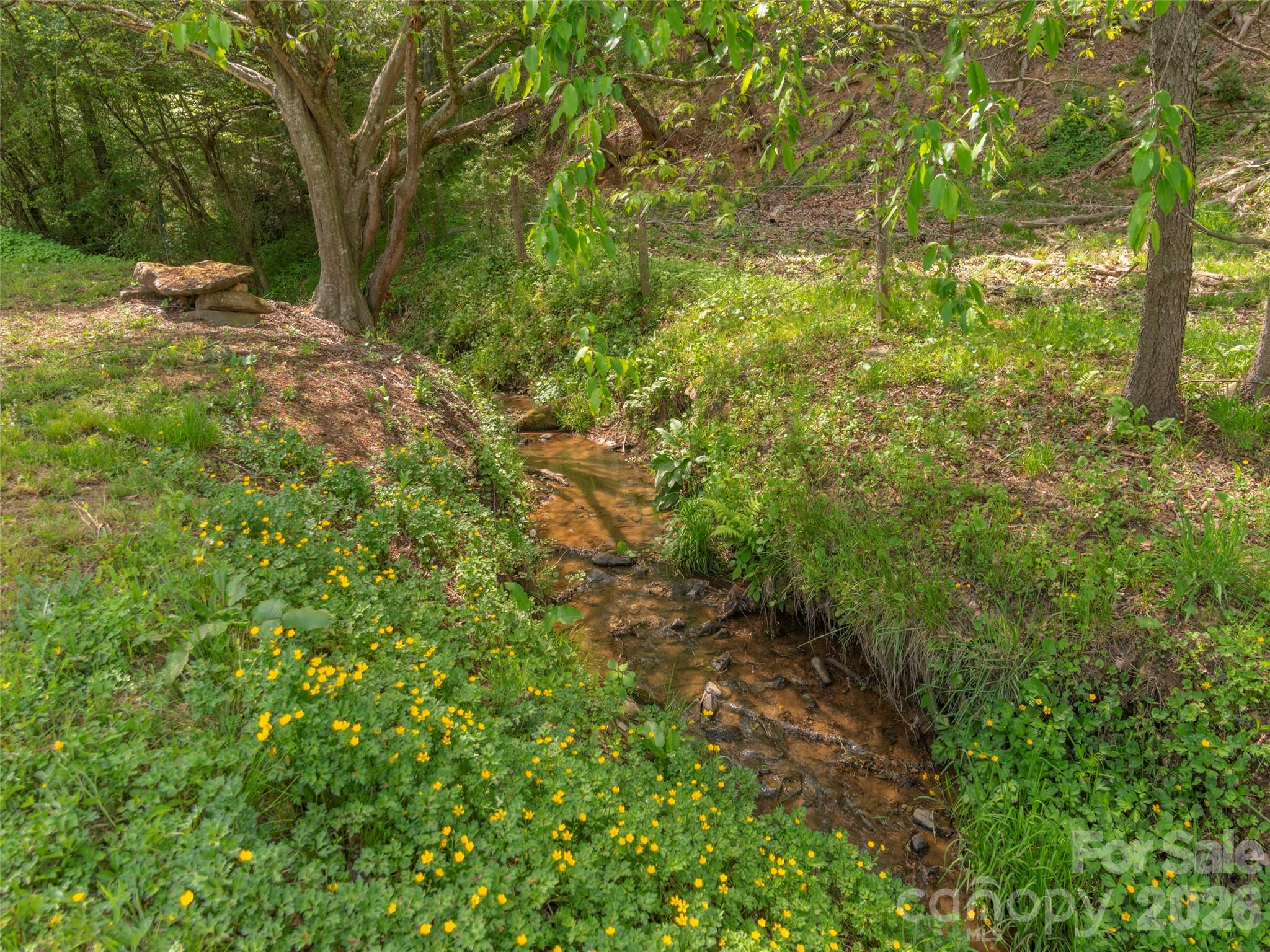 115 Gardening Frog Trail Property Photo 19