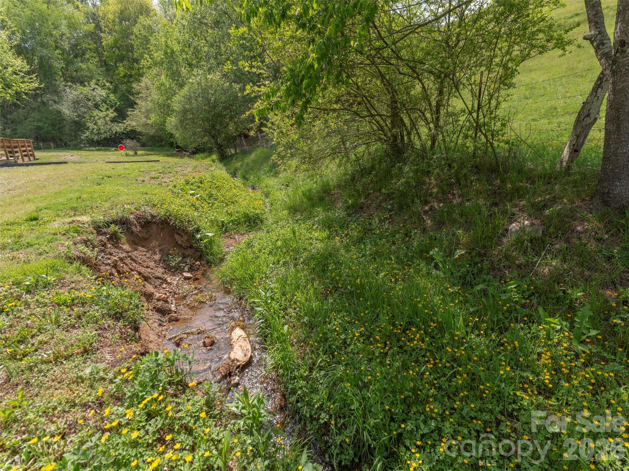 115 Gardening Frog Trail Property Photo 20