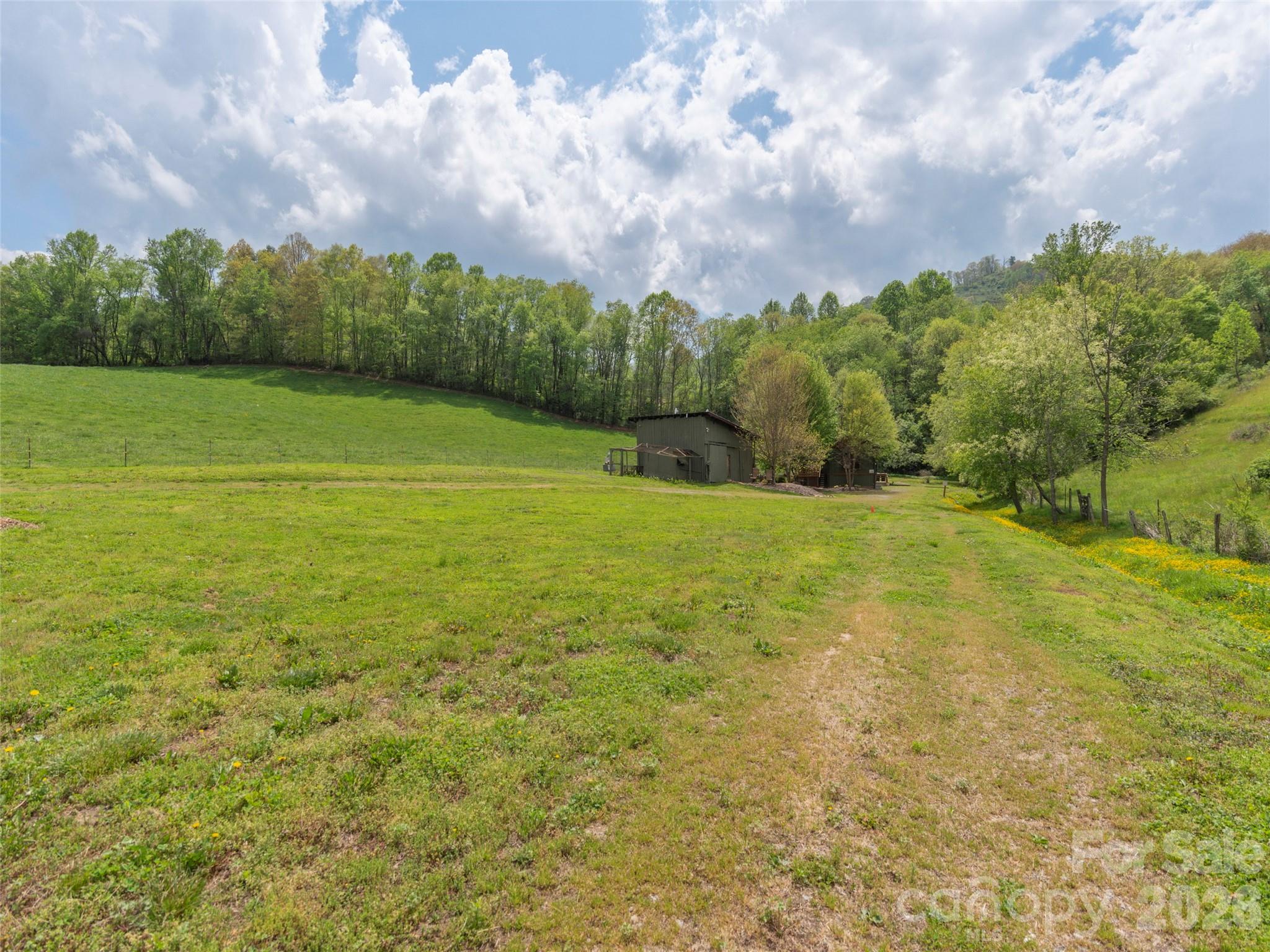 115 Gardening Frog Trail Property Photo 23