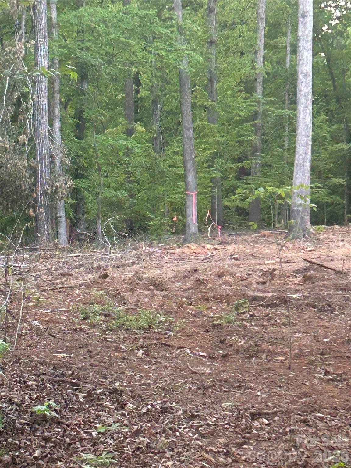 000 Lake Tillery Road Property Photo 5