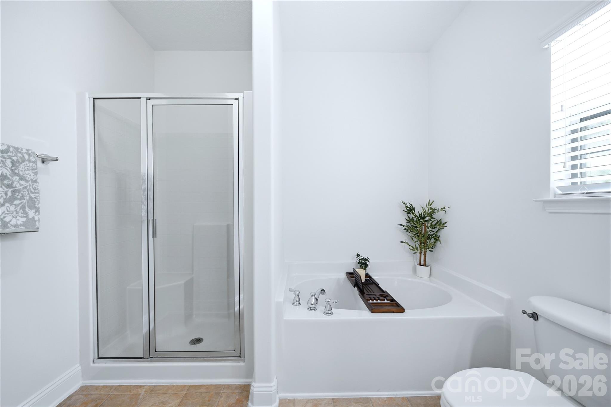 2429 Glyncastle Way Property Photo 19